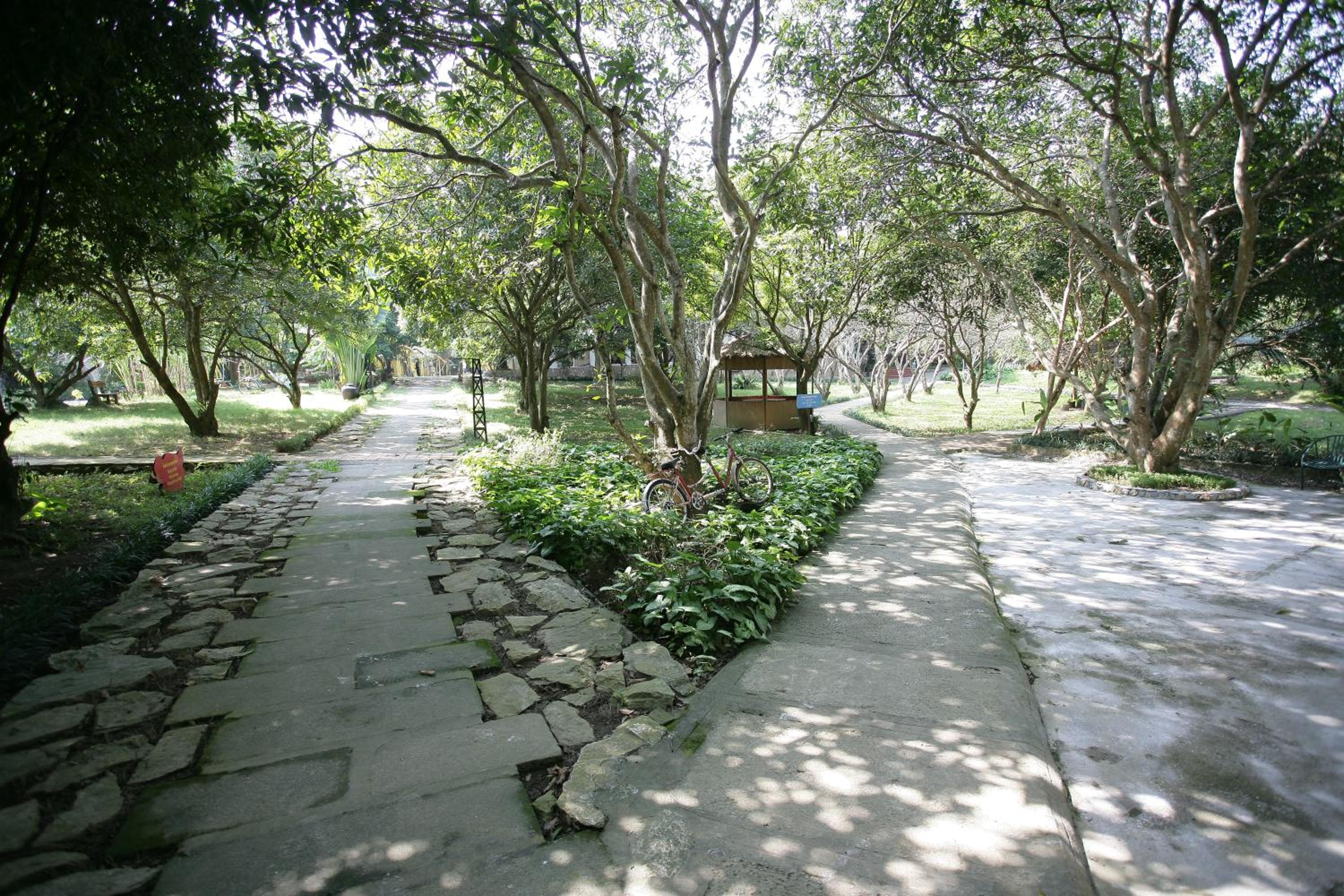 Photo 14