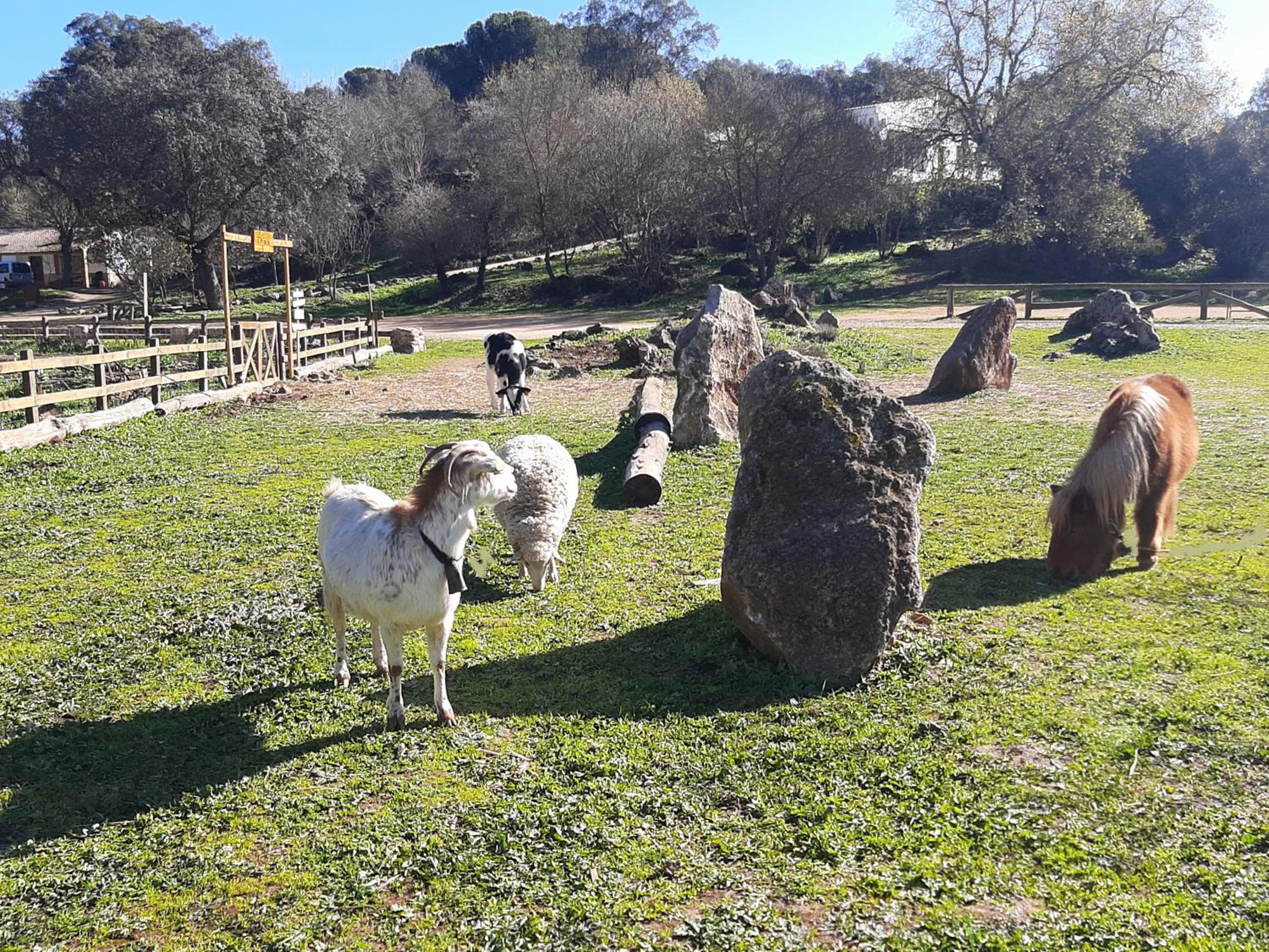 CABAÑAS DEL BOSQUE CERCA DE CORDOBA