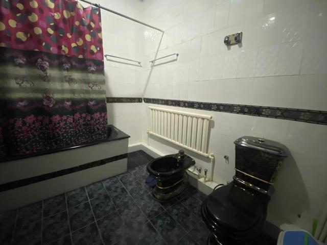 MIR HOSTEL