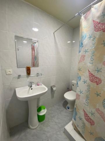 MIR HOSTEL