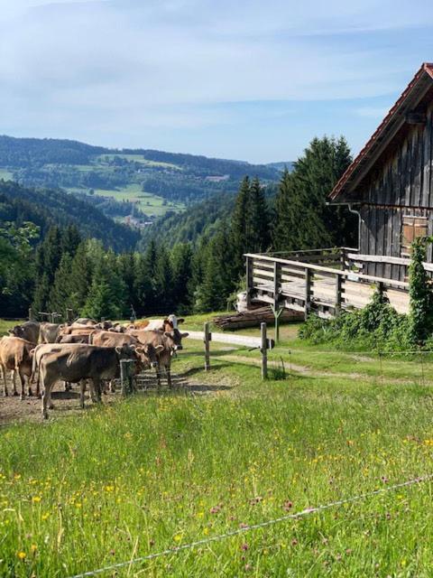 4 Sterne Staufensuite Larilli