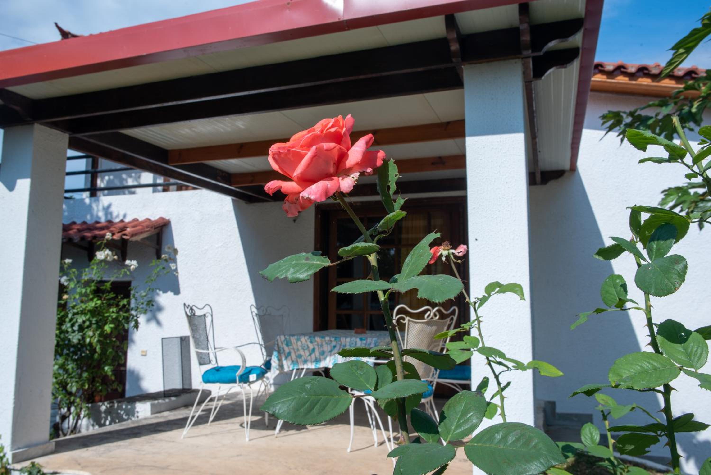 Kontos Villa photo 4