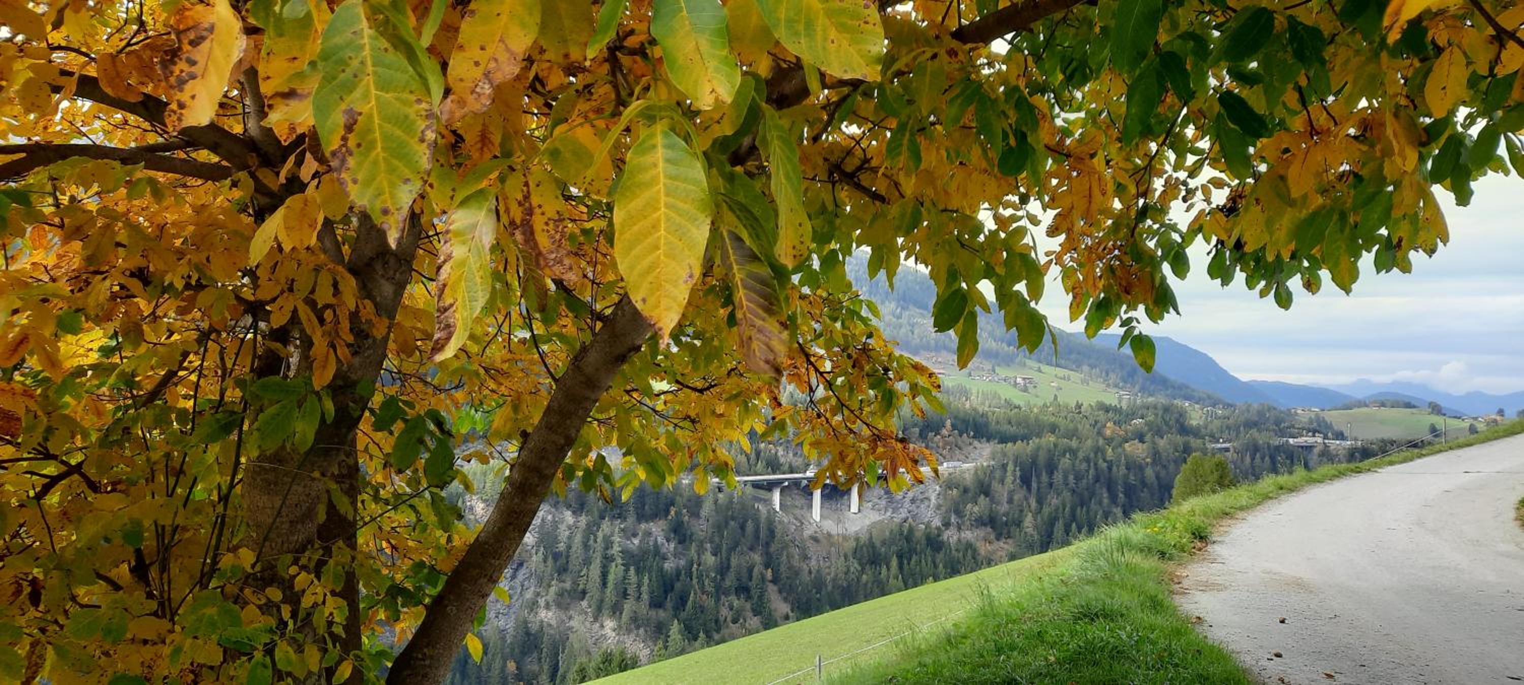 Steinhof