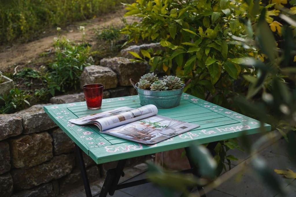 Villa Rosa - Garden