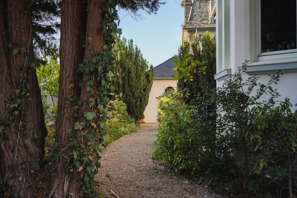 Villa Rosa - Garden