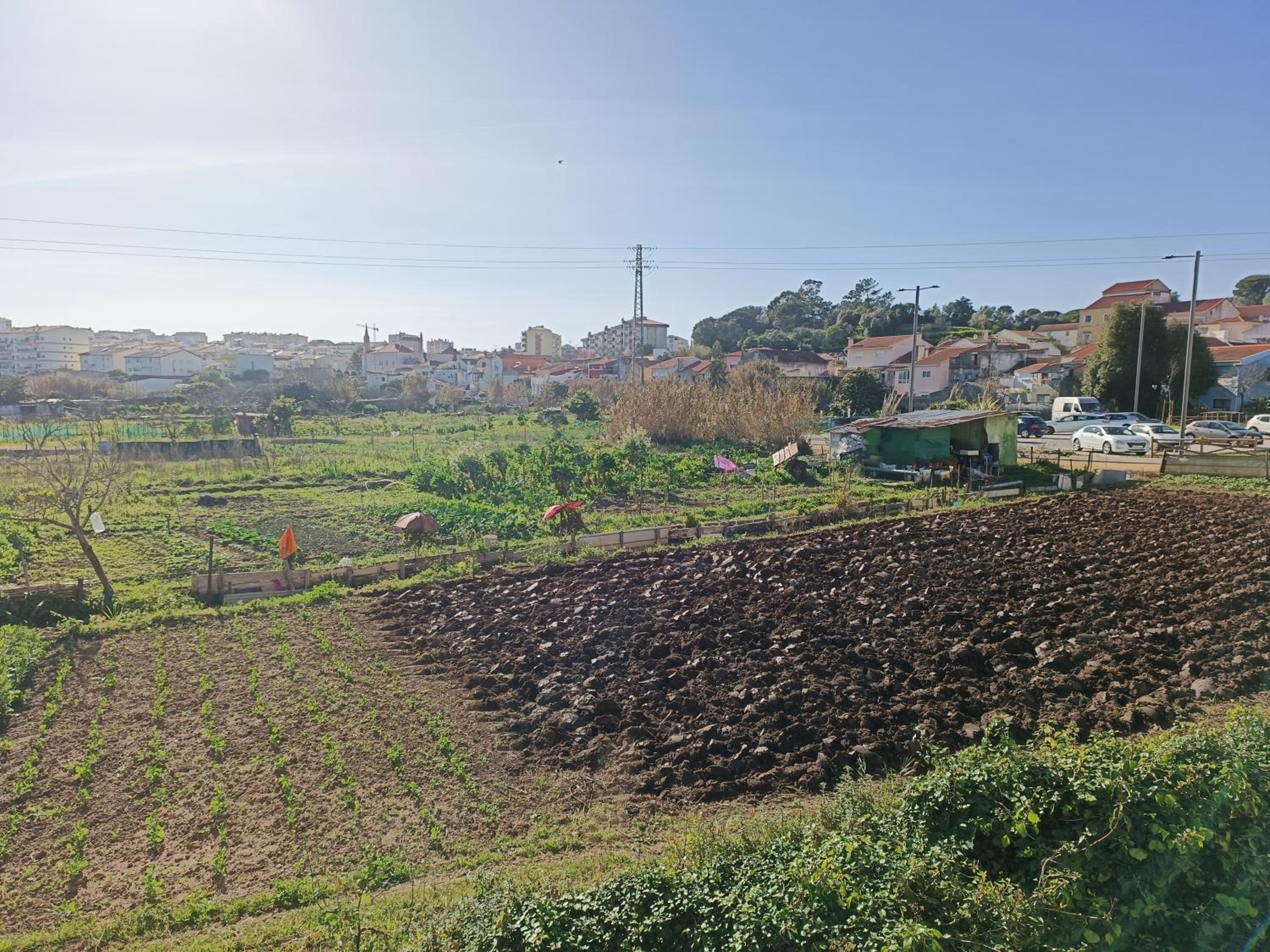 Photo 33