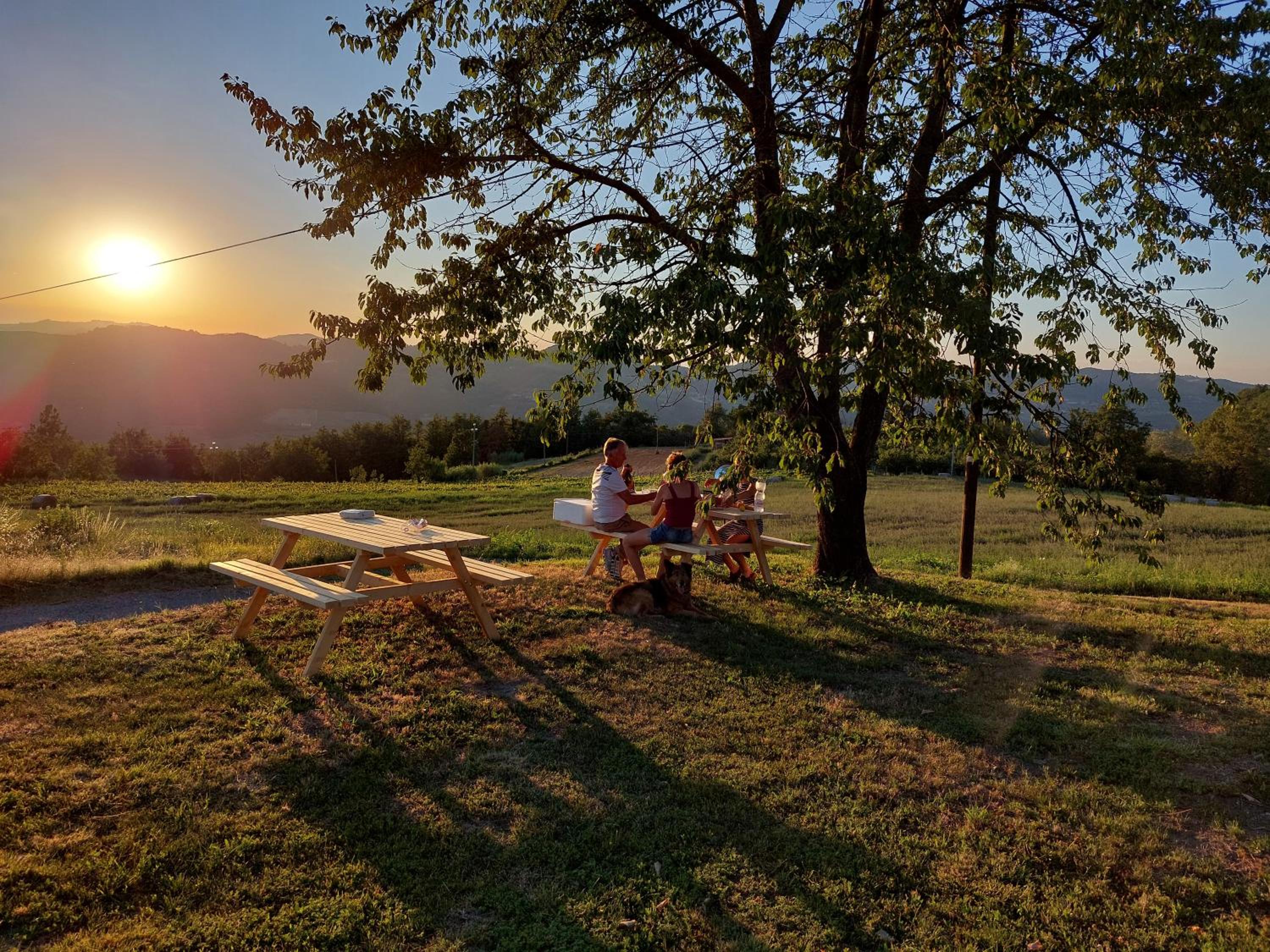 Agriturismo La Margherita view 4