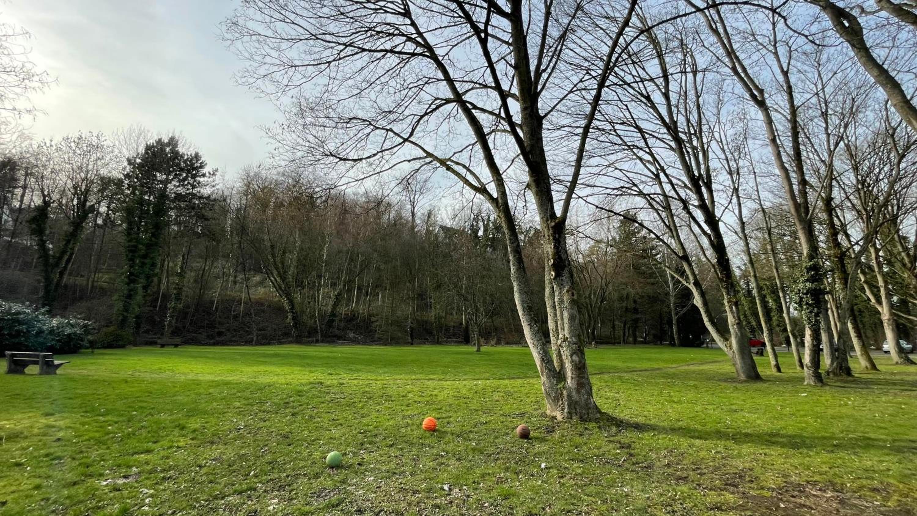 FeWo Phönixhütte am Baldeneysee in Kupferdreh