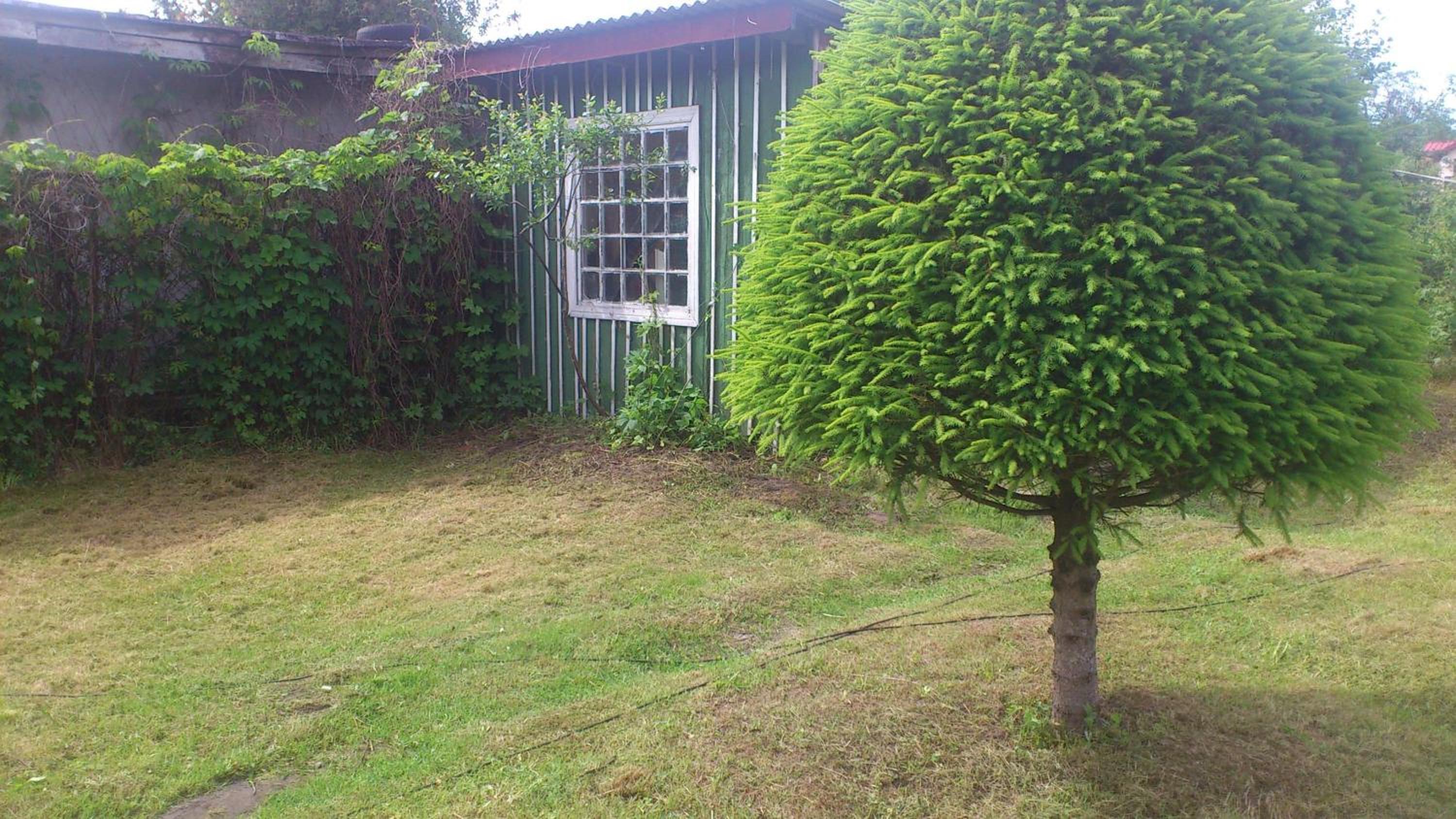 Photo 9