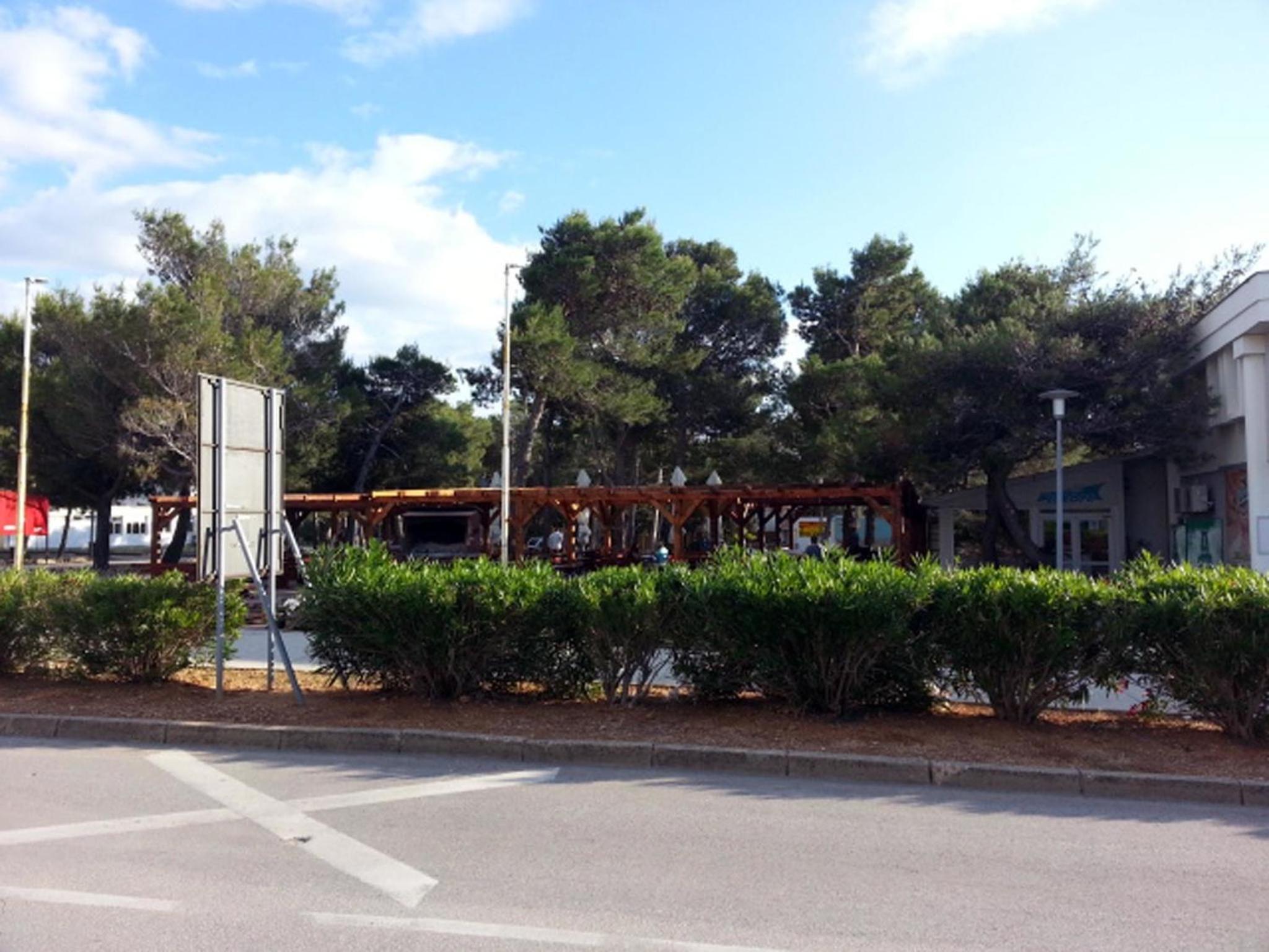 Photo 12
