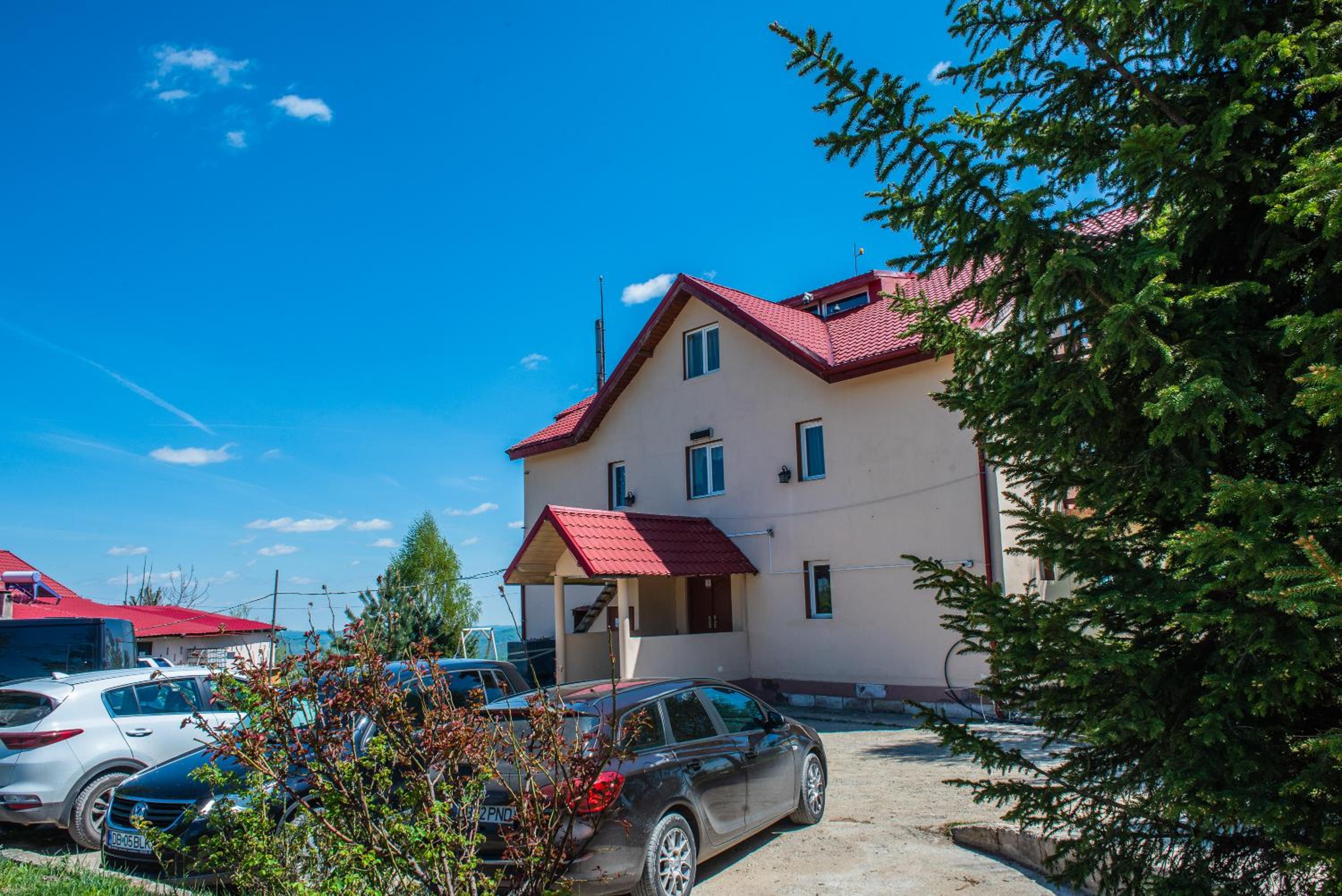 Pensiunea Runcu Stone