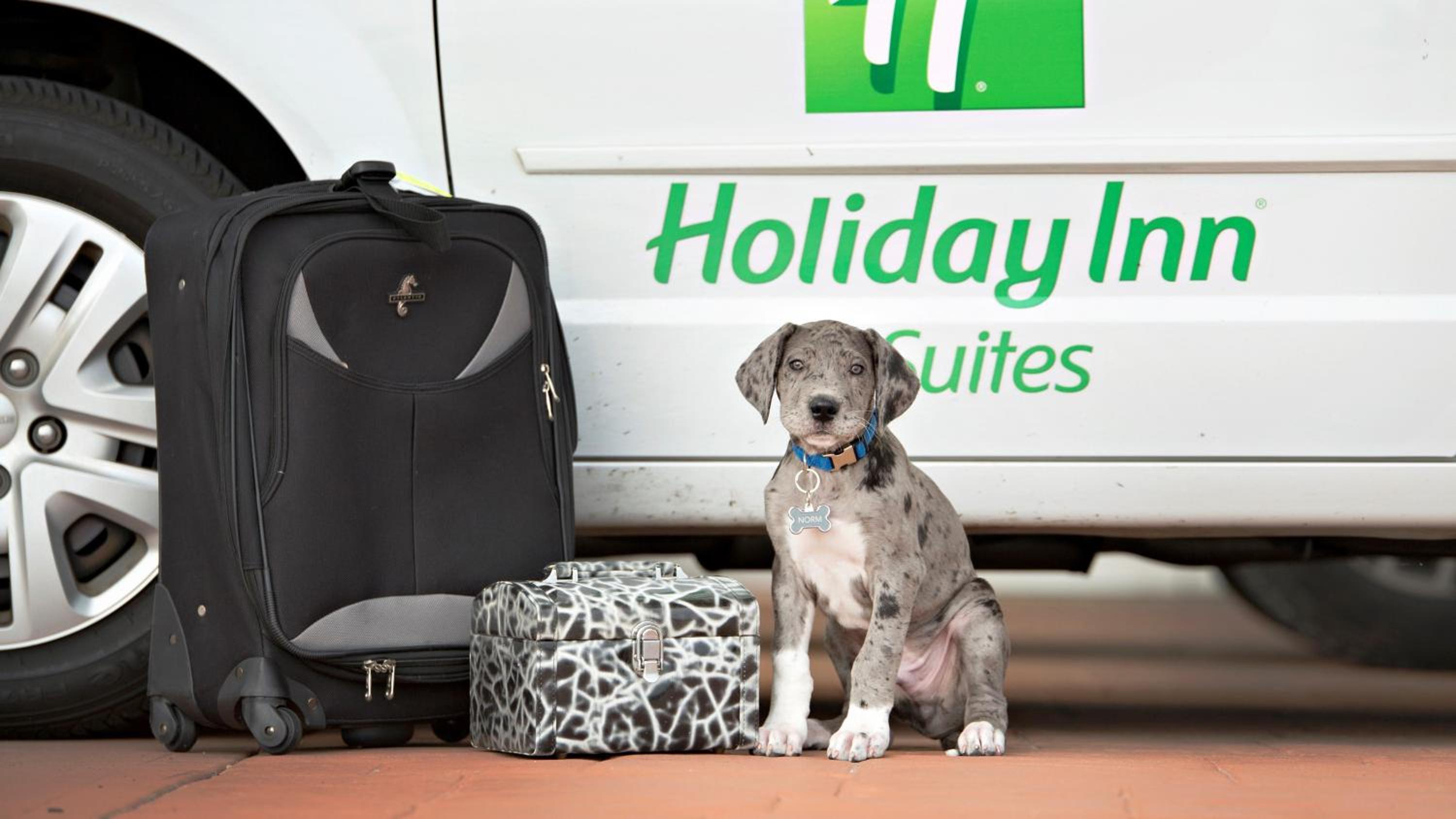 Bloomington Vacations - Holiday Inn Hotel  Suites Bloomington Airport, an IHG Hotel - Property Image 4