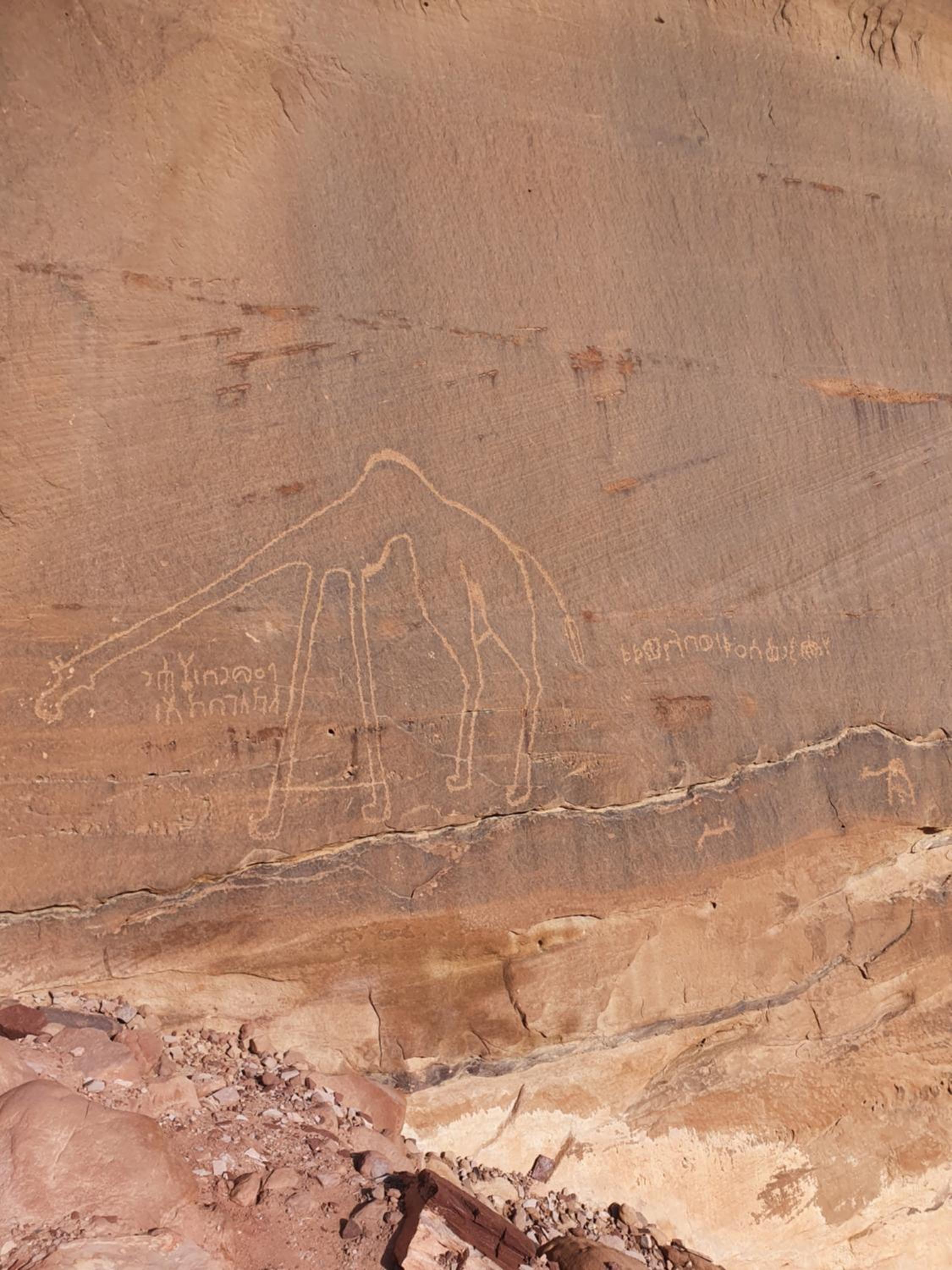 Bedouin experiences