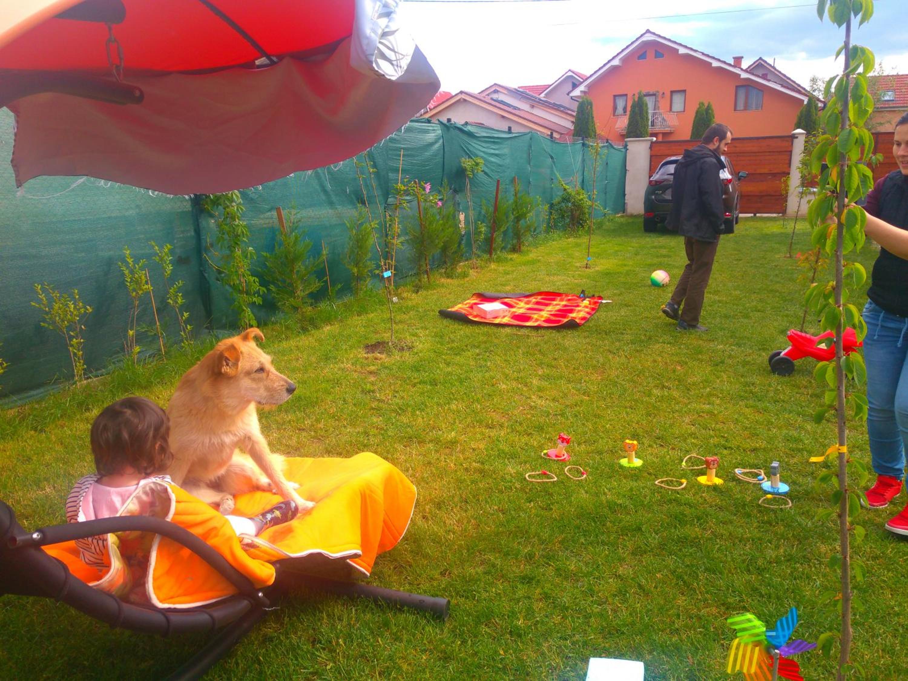 Photo 36