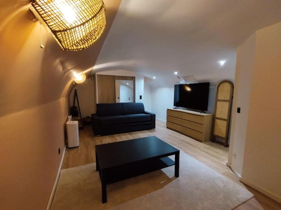 Beautiful Triplex in the Center of Paris