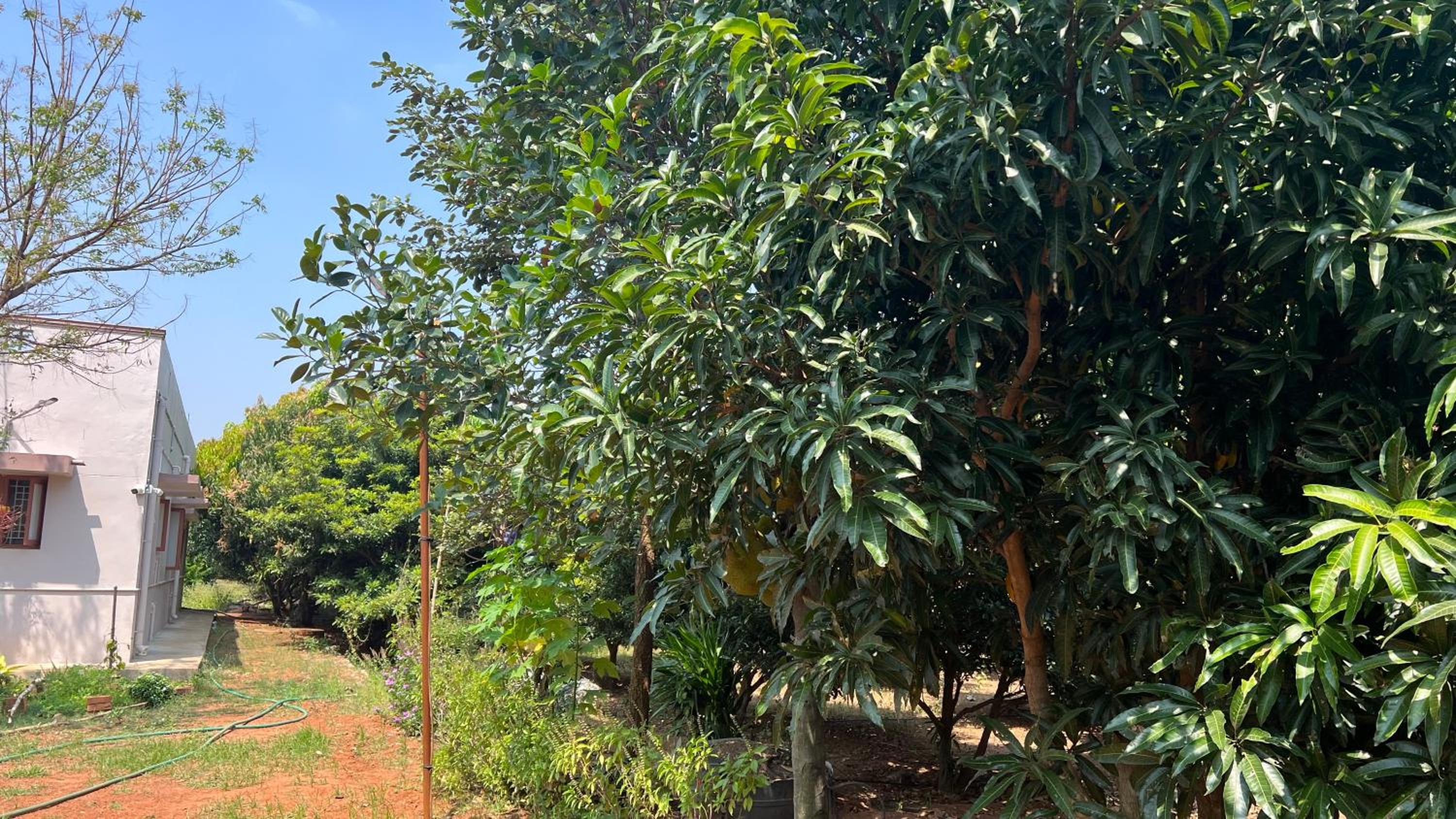 SERENE Stays - Kjsb farmhouse THANJAVUR view 3