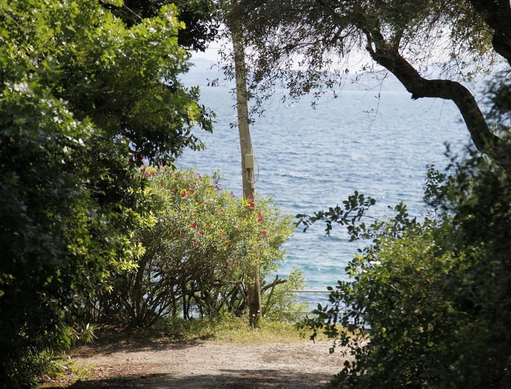 Villa Rex - A little piece of heaven! view 5