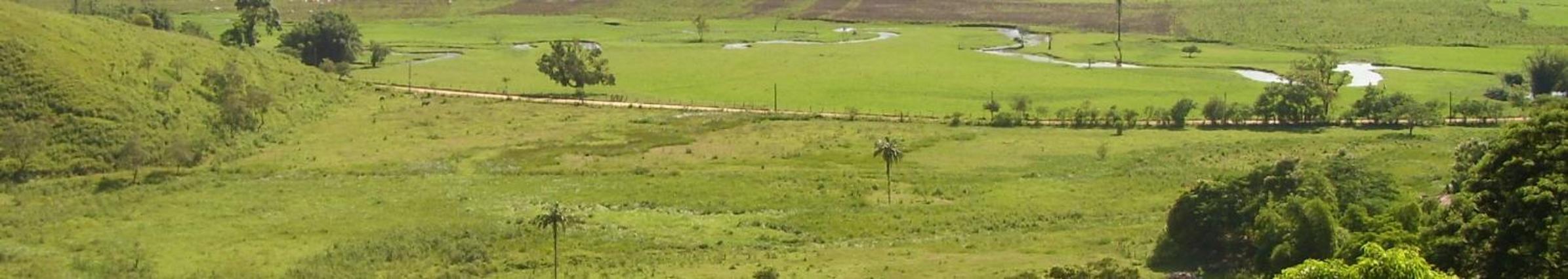 Sítio com piscina, na estrada de Aldeia Velha e rio a frente da porteira