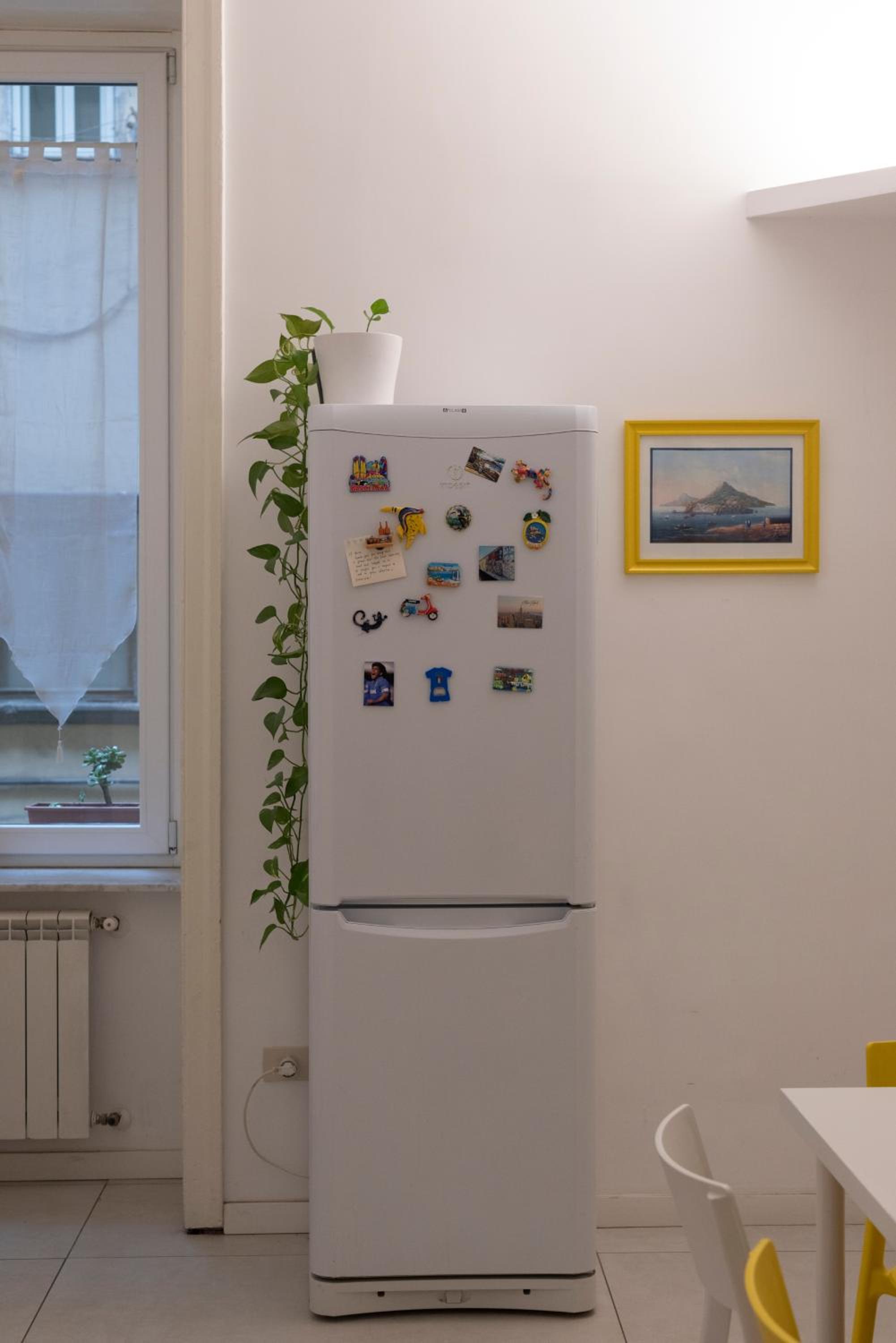 Geco's Apartment