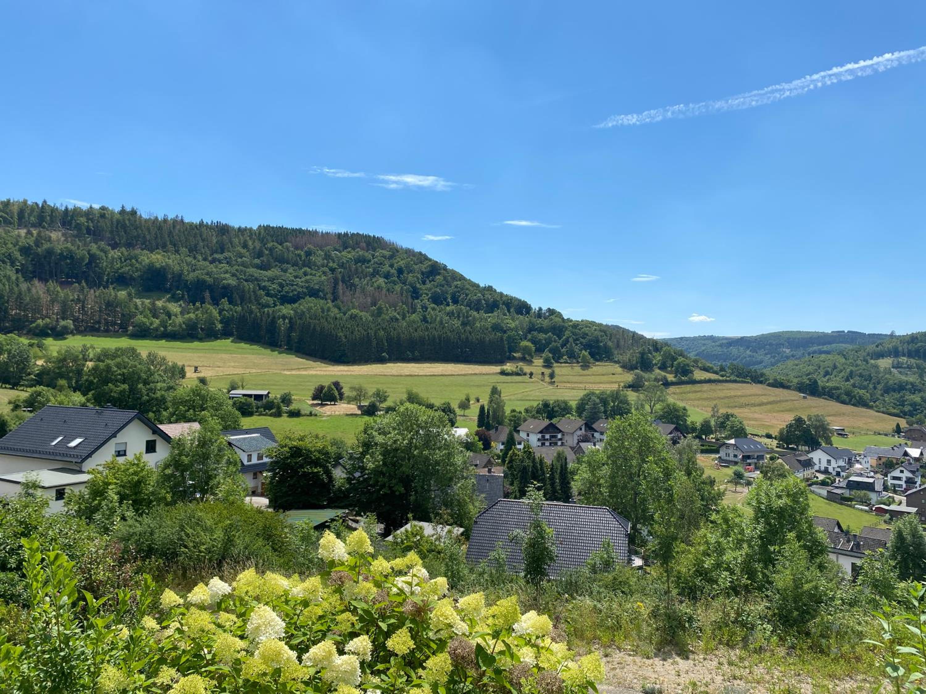 Eifel-Ferienhaus Lavendel
