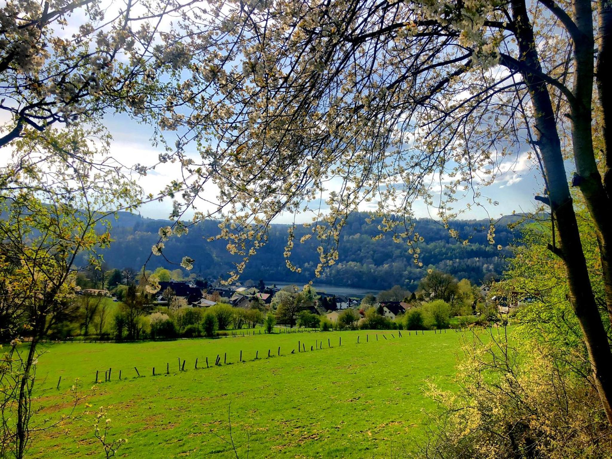 Eifel-Ferienhaus Lavendel