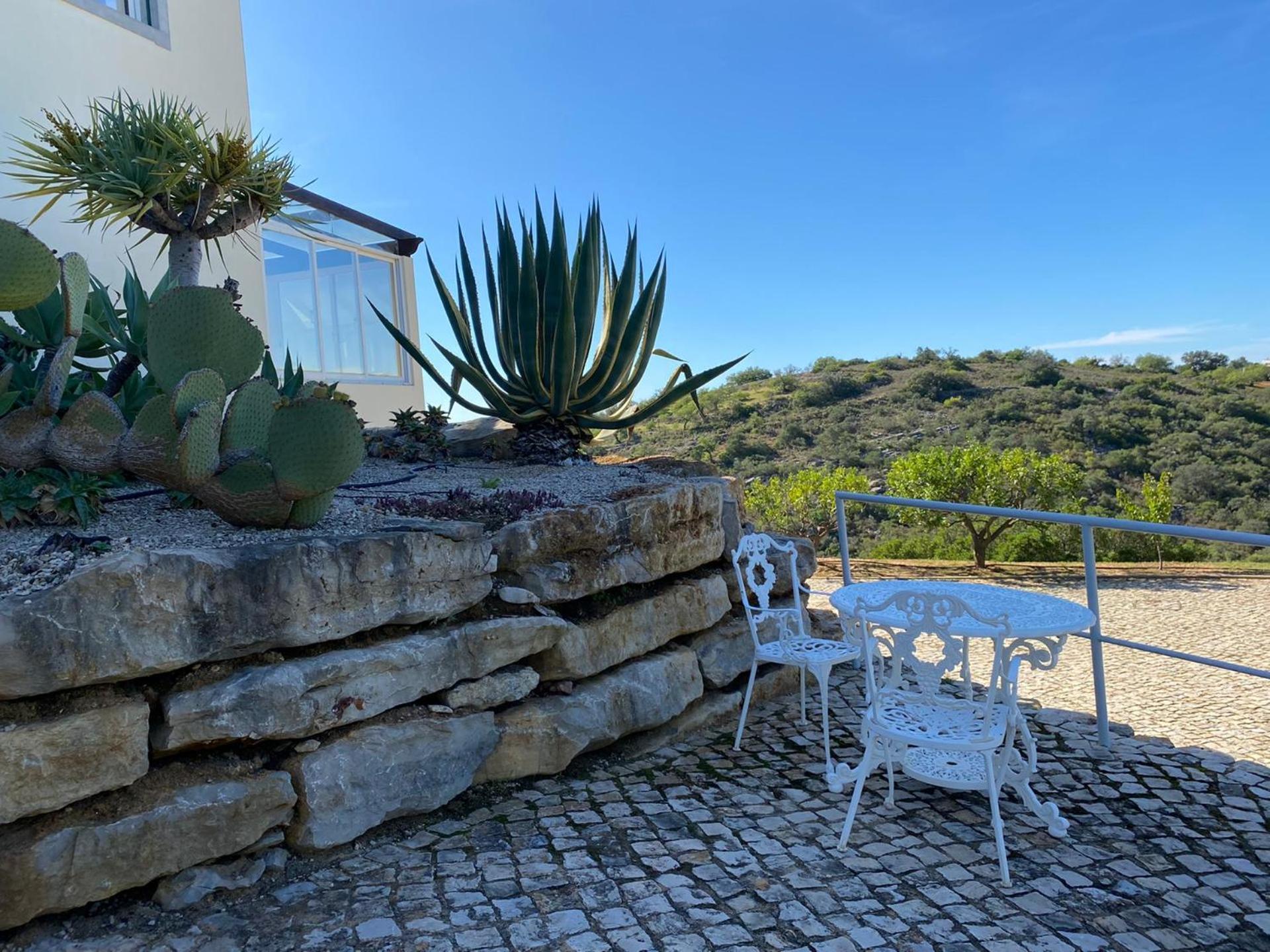 Casa Tin Tin view 5