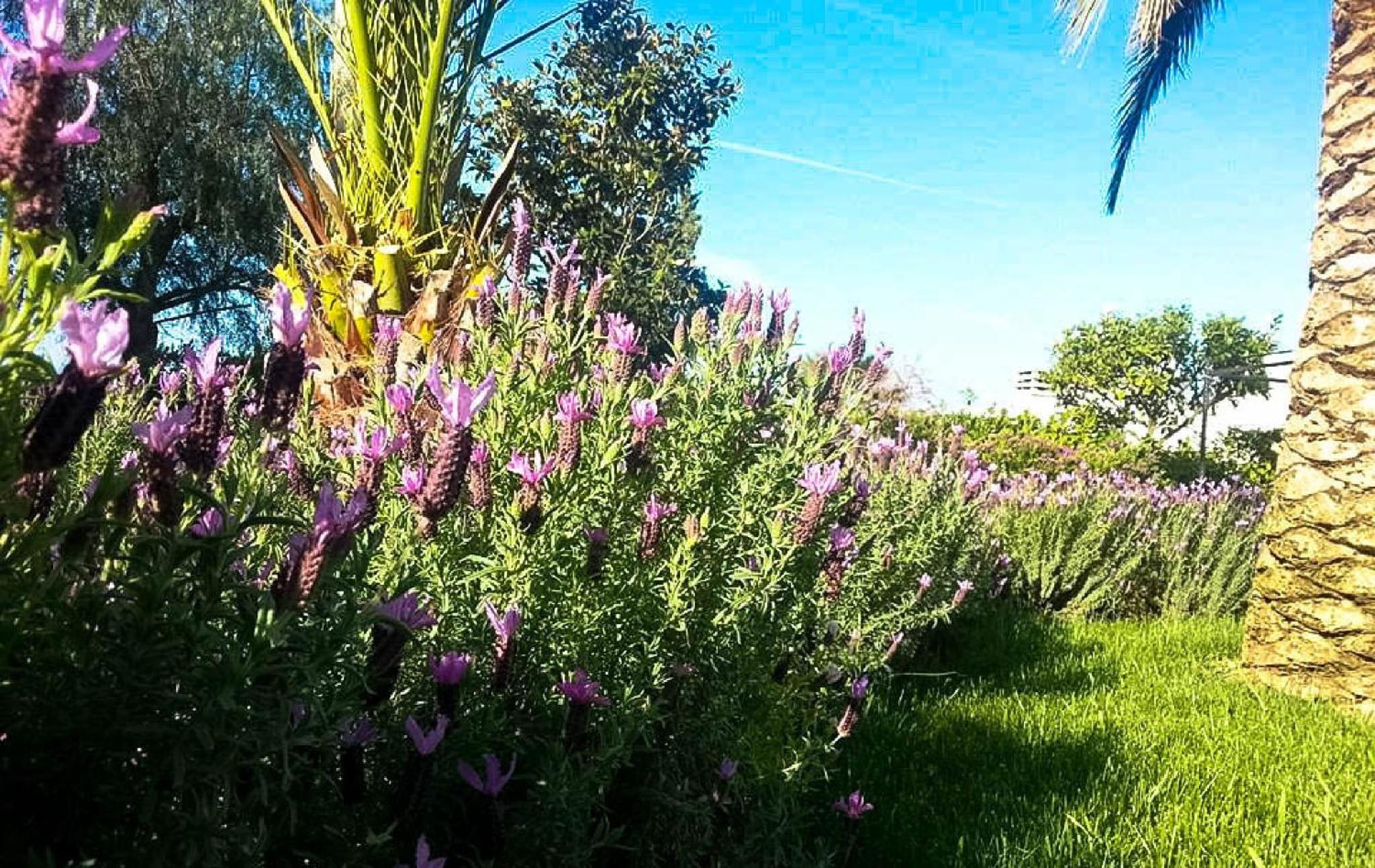 Agriturismo Masseria Calongo