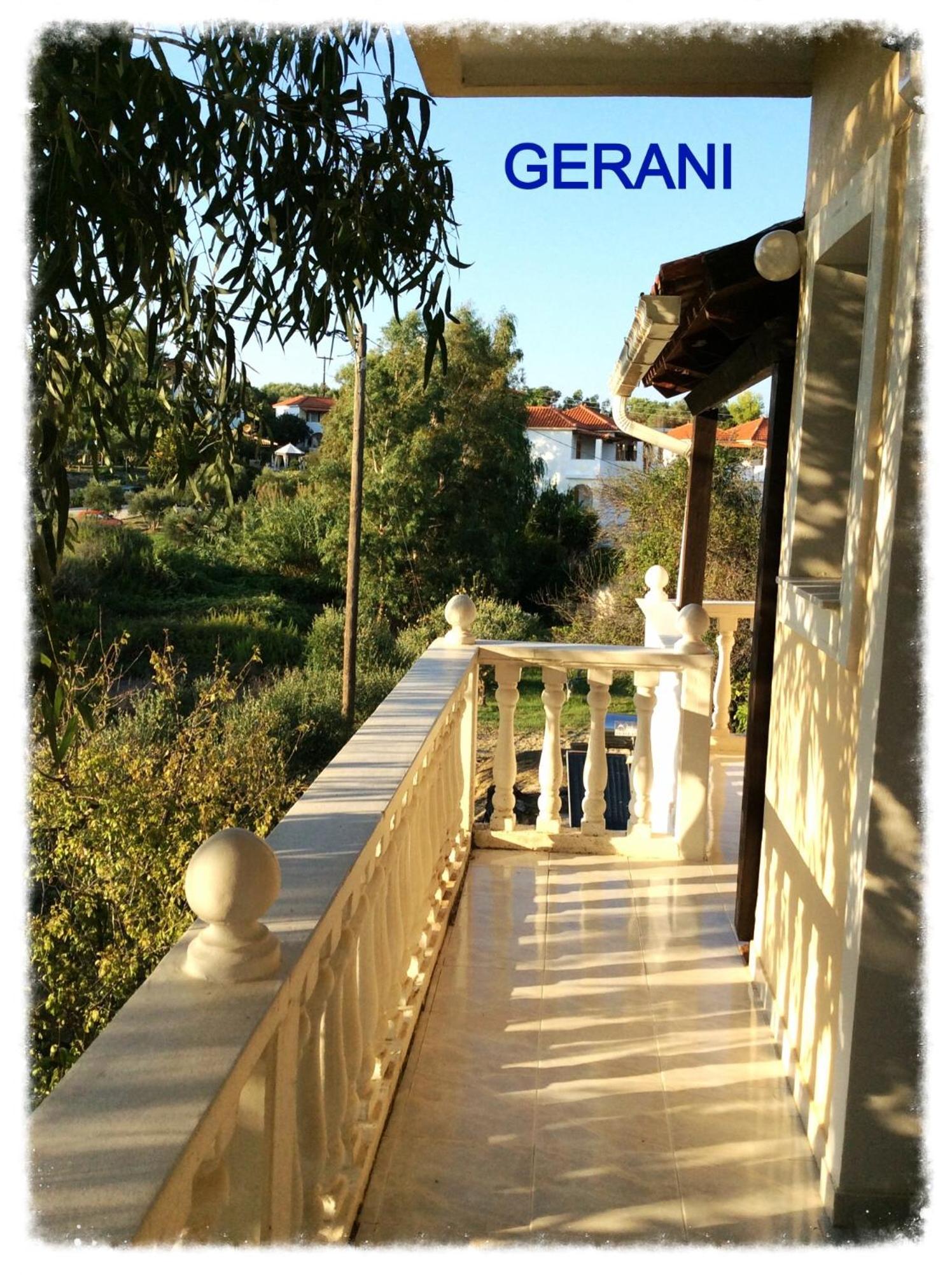 Photo 31
