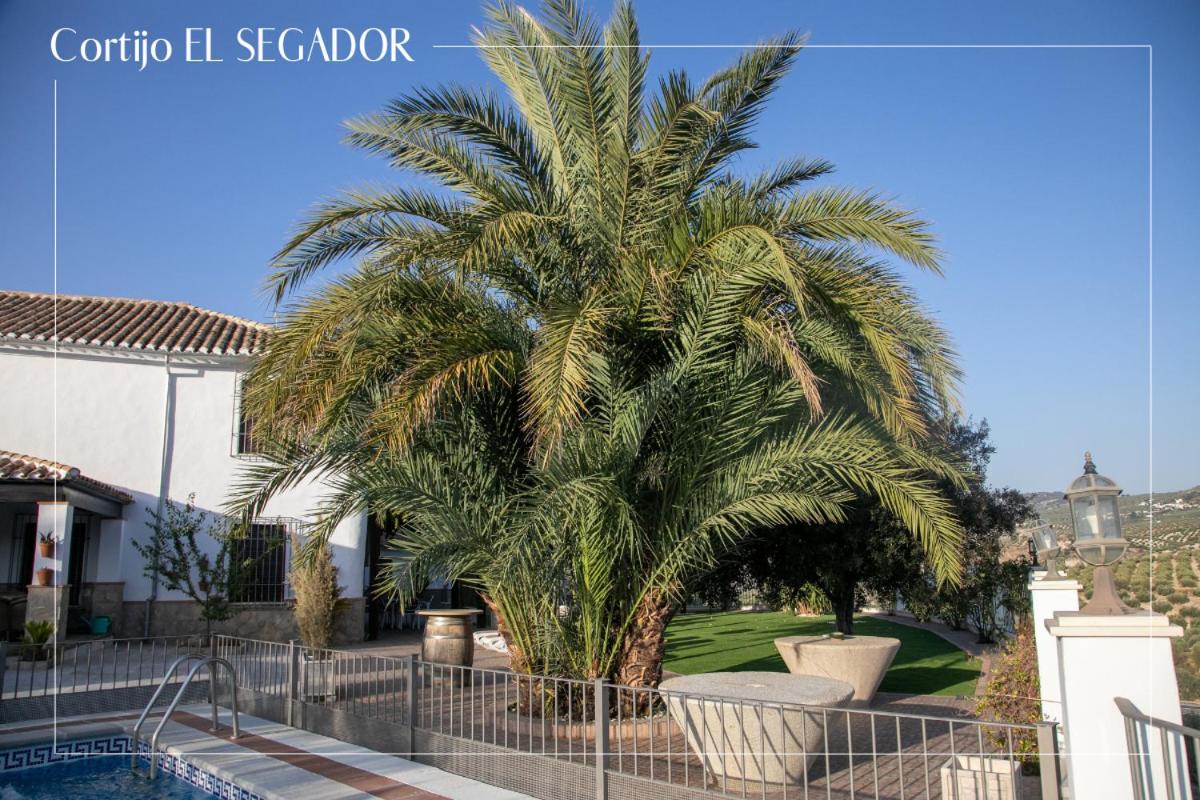 Cortijo El Segador y El Capricho
