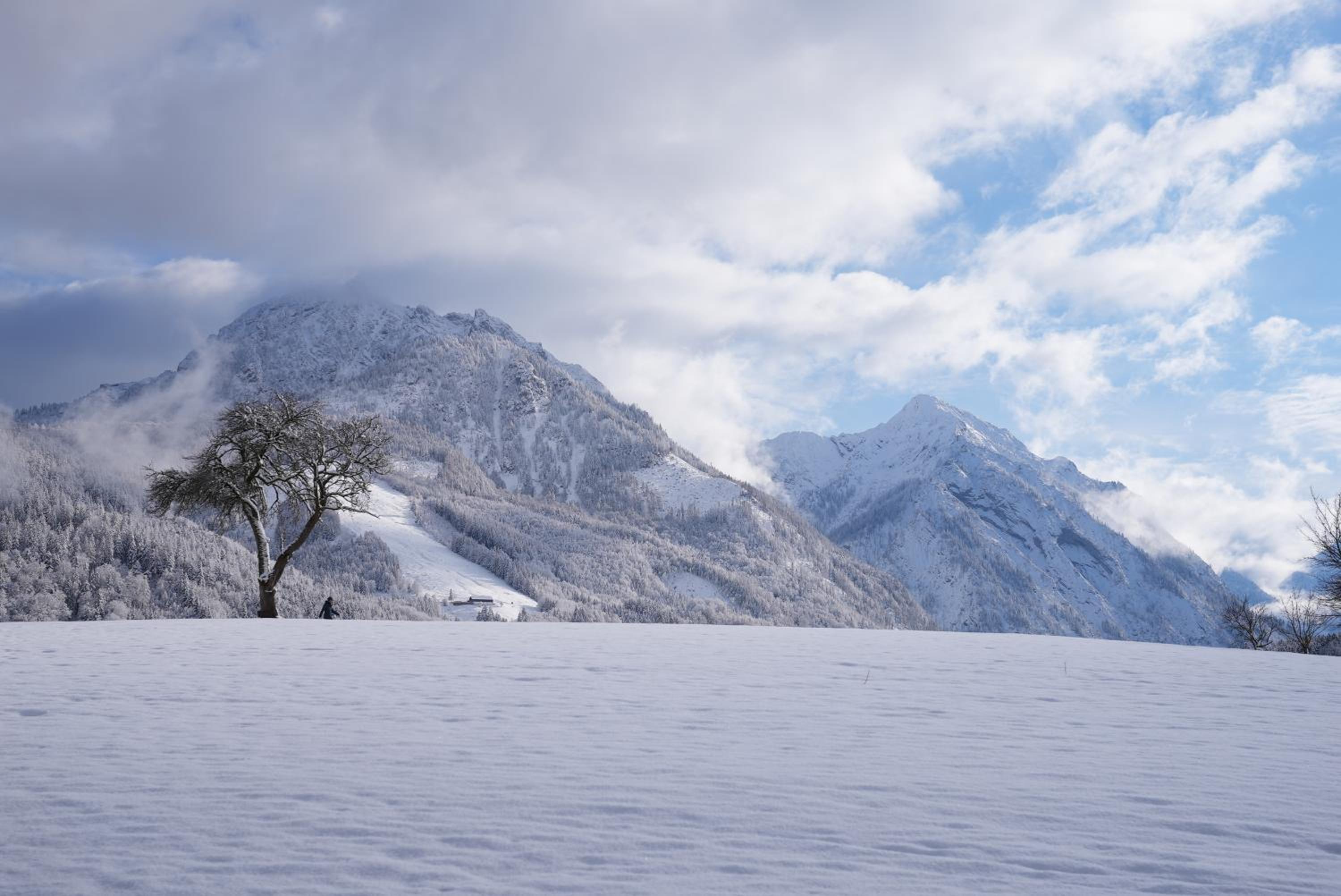 Bergblick 411 am Wolfgangsee