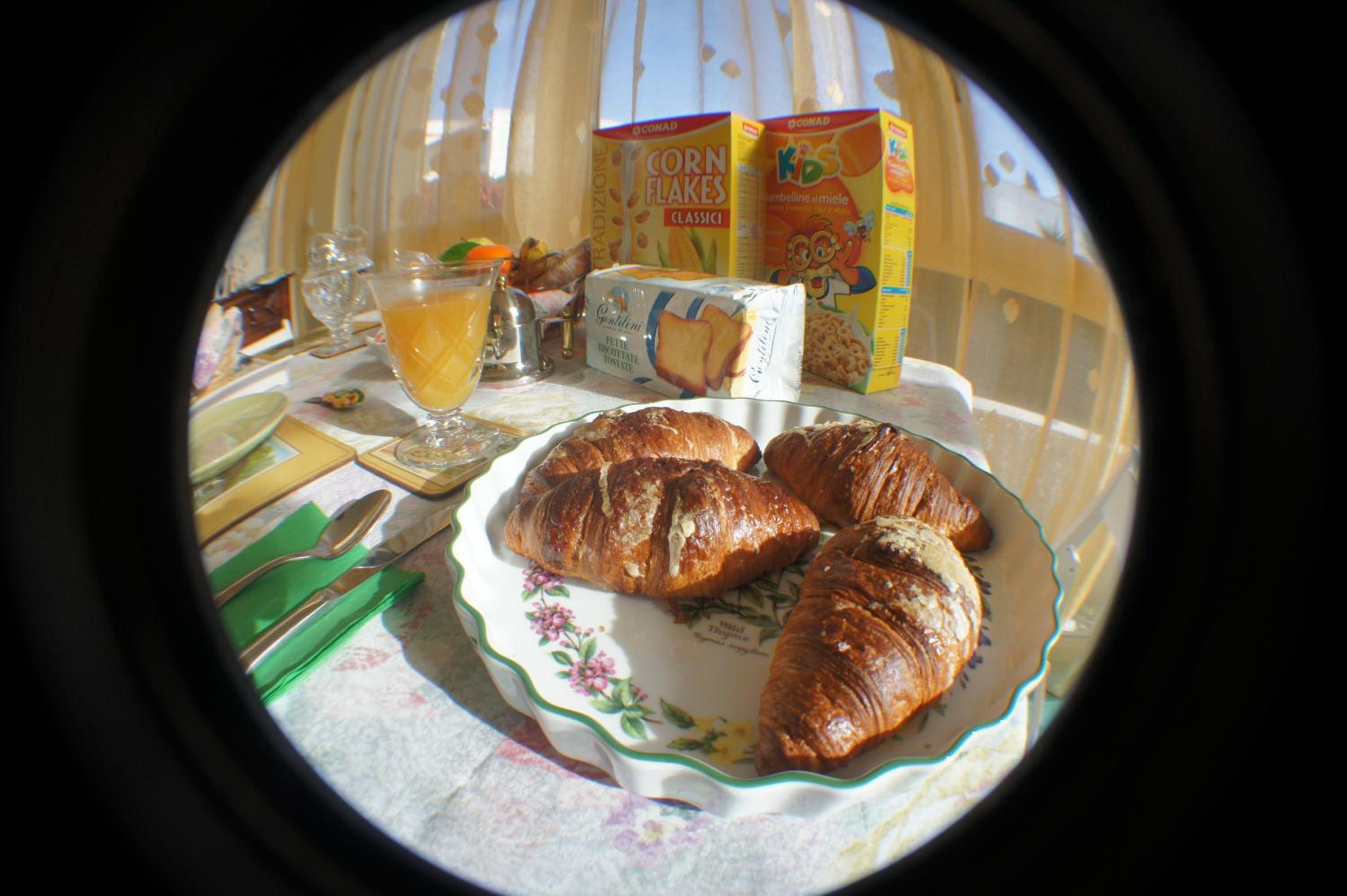 Photo 23