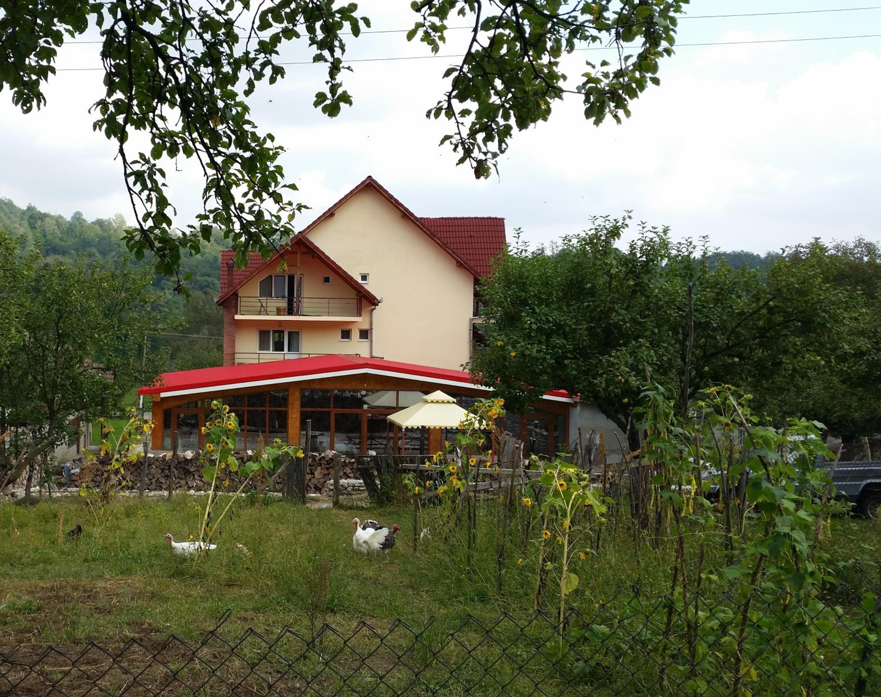 Photo 6