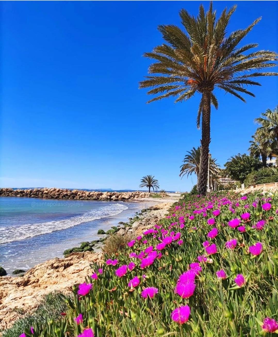 Ladrillo, apartment by the sea, Santa Pola view 4