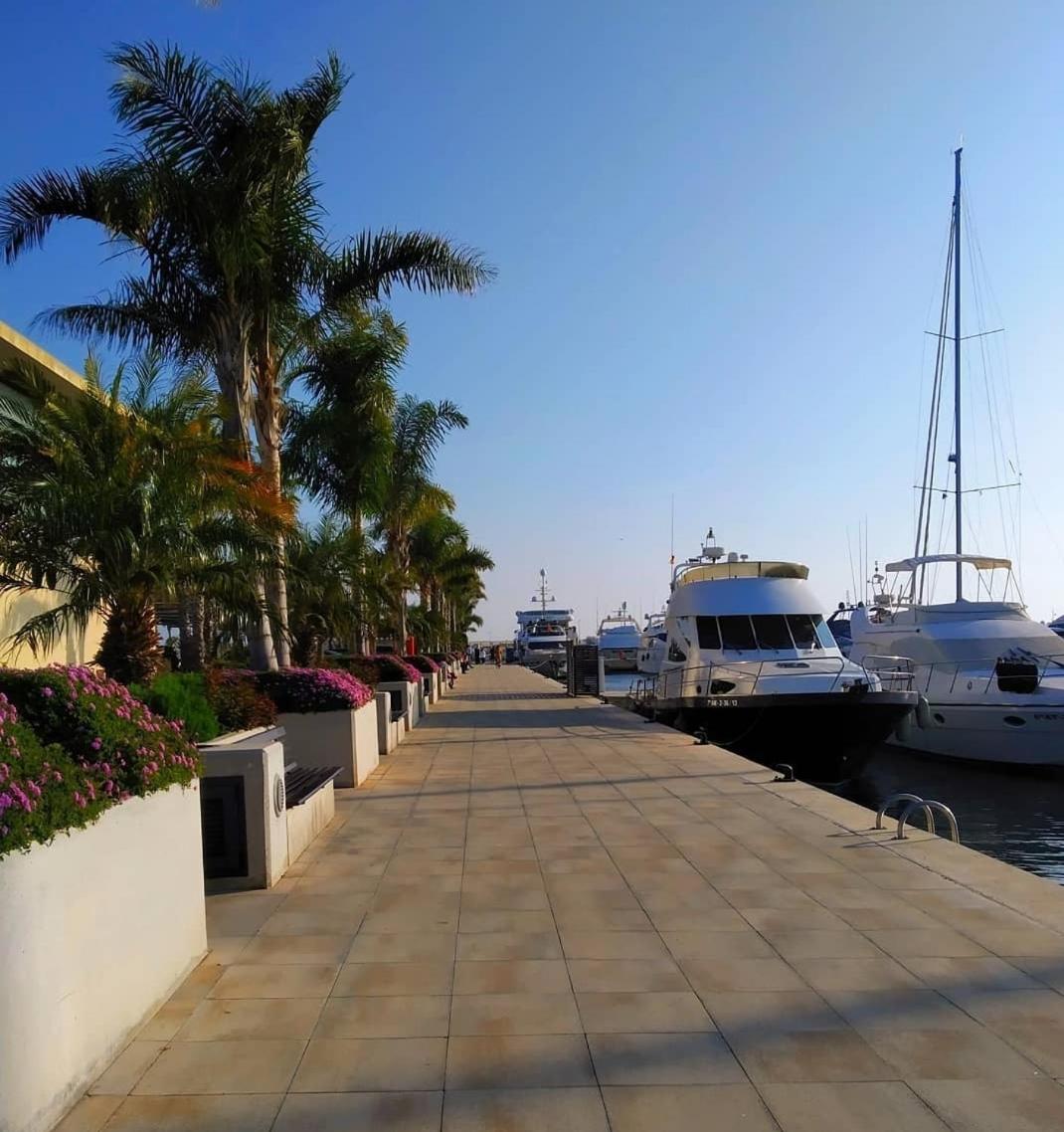 Ladrillo, apartment by the sea, Santa Pola view 5
