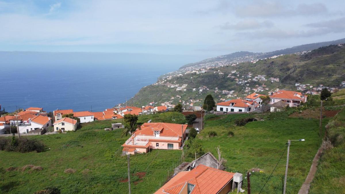 Photo 45