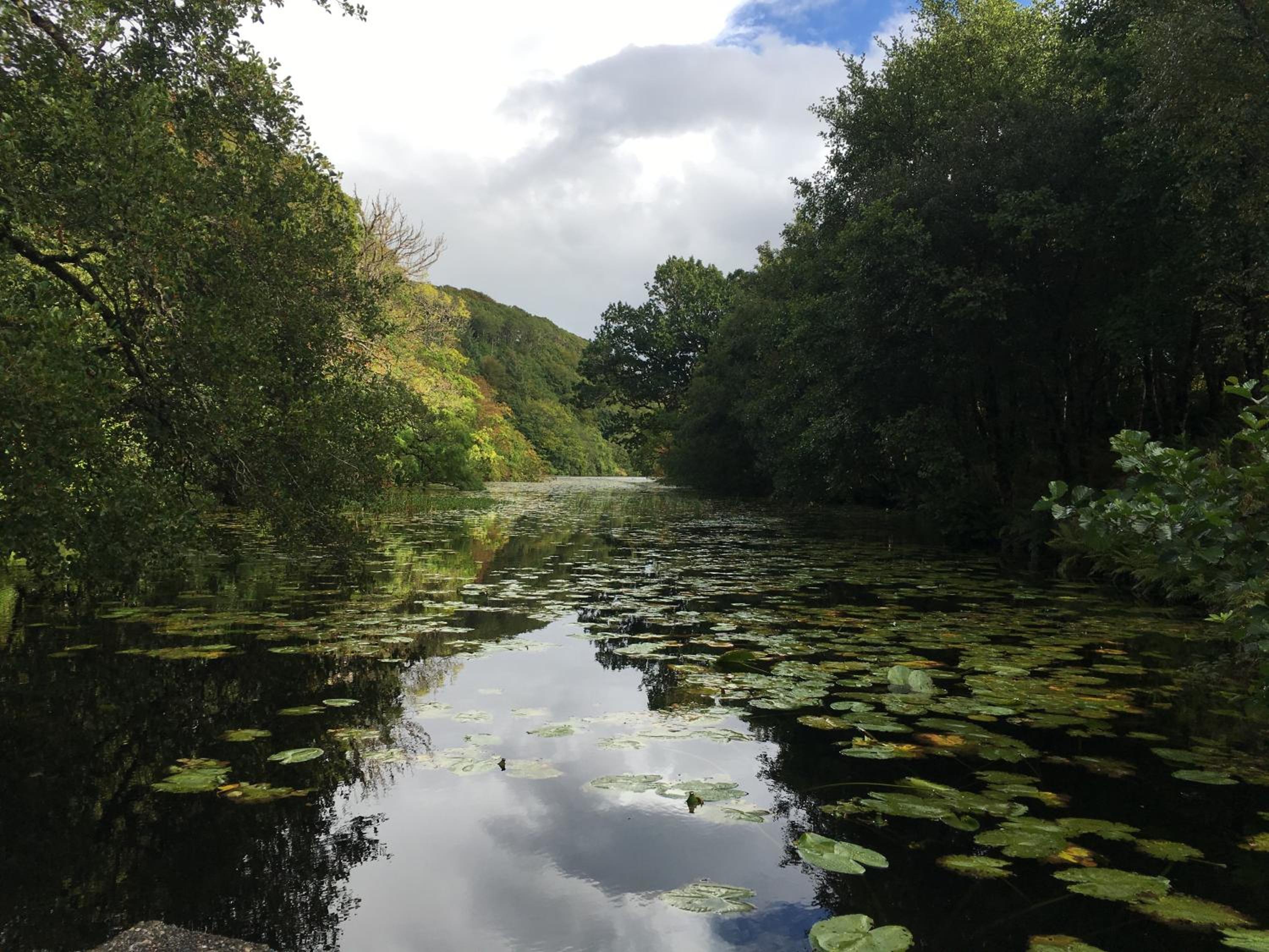 Burnbank BnB