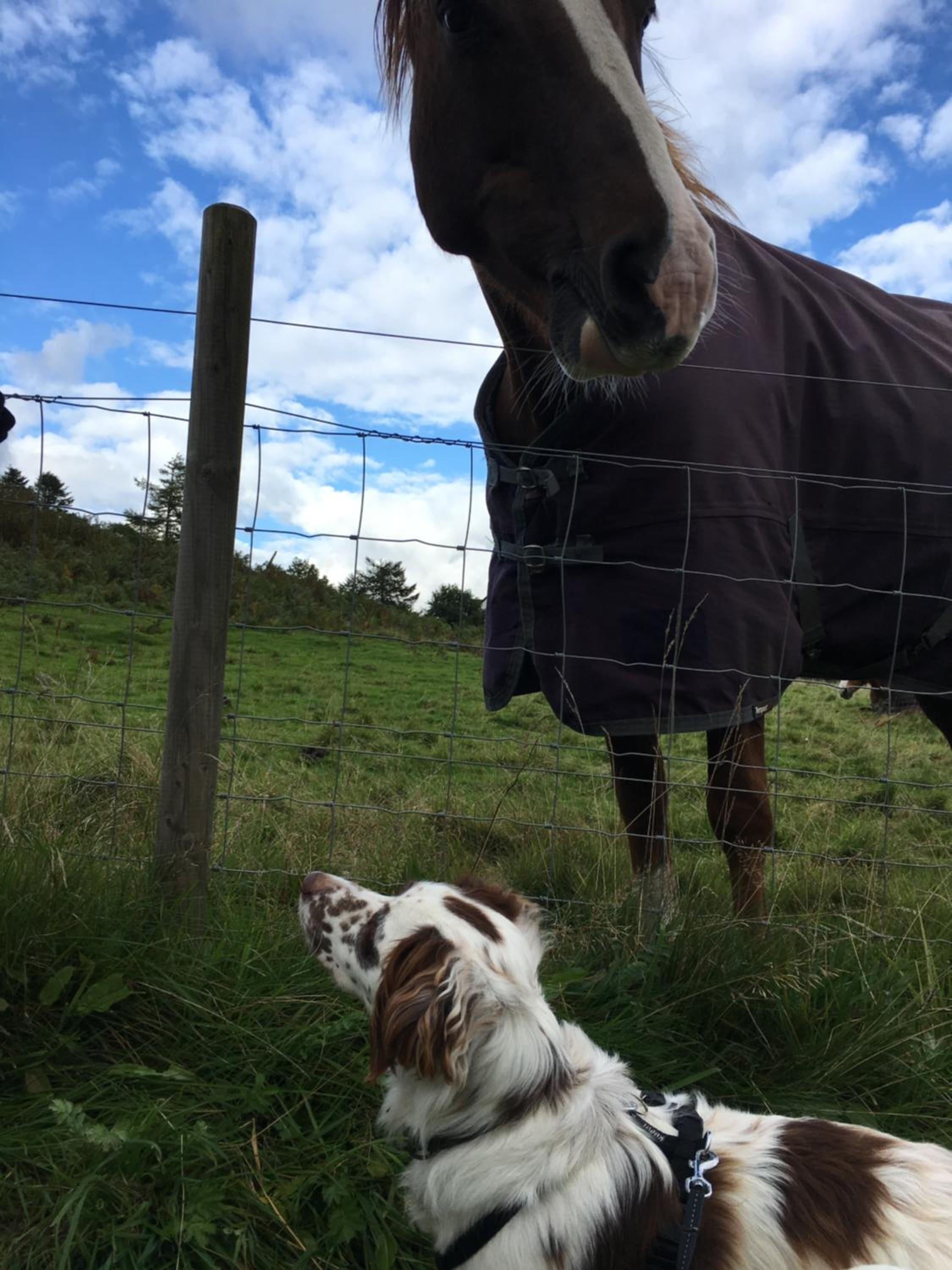 Burnbank BnB