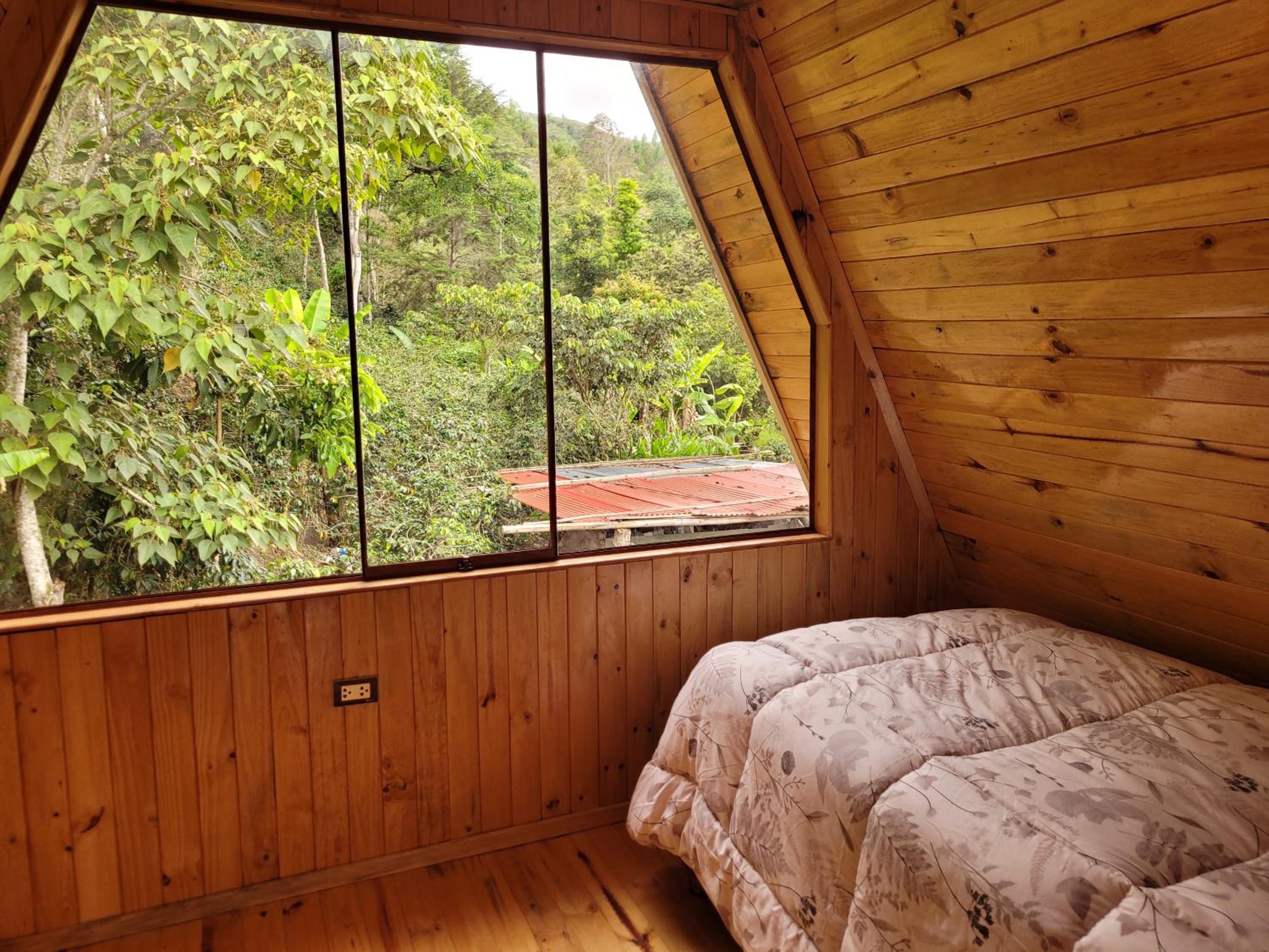 Cabañas el Pinar de Oxapampa view 3
