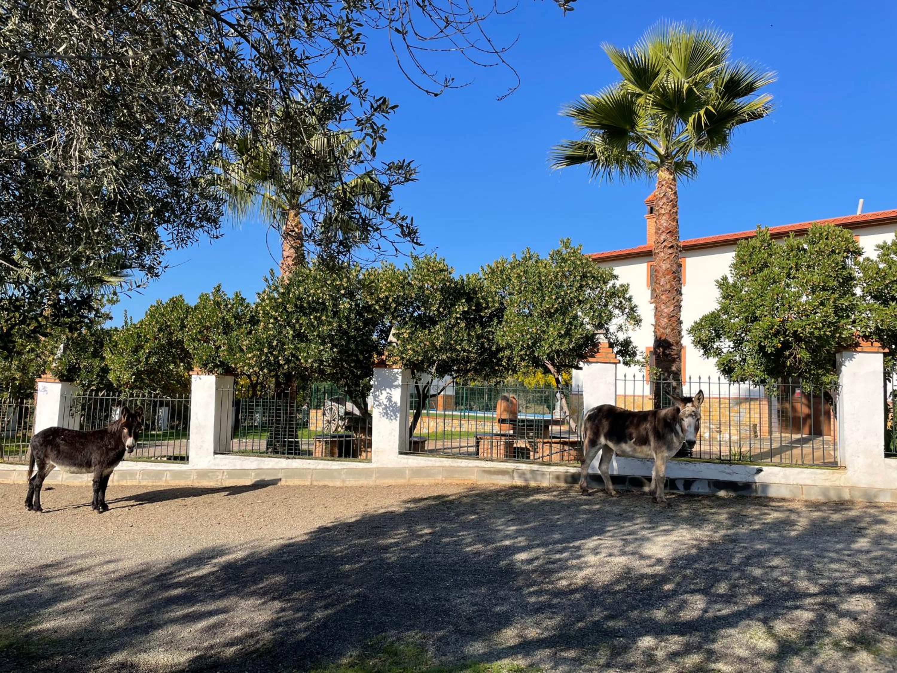 Casa rural la Galvana