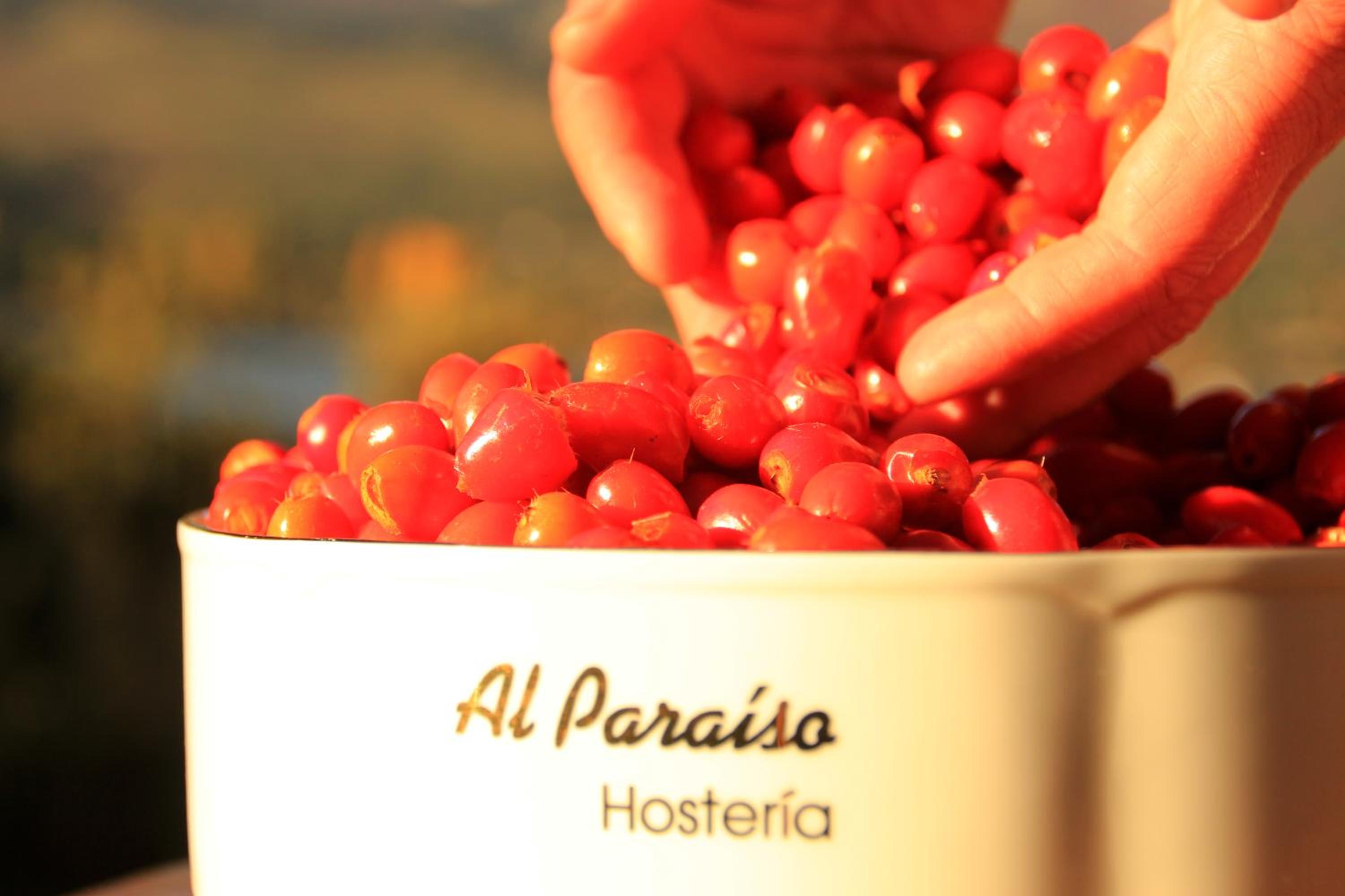 Hosteria Al Paraiso
