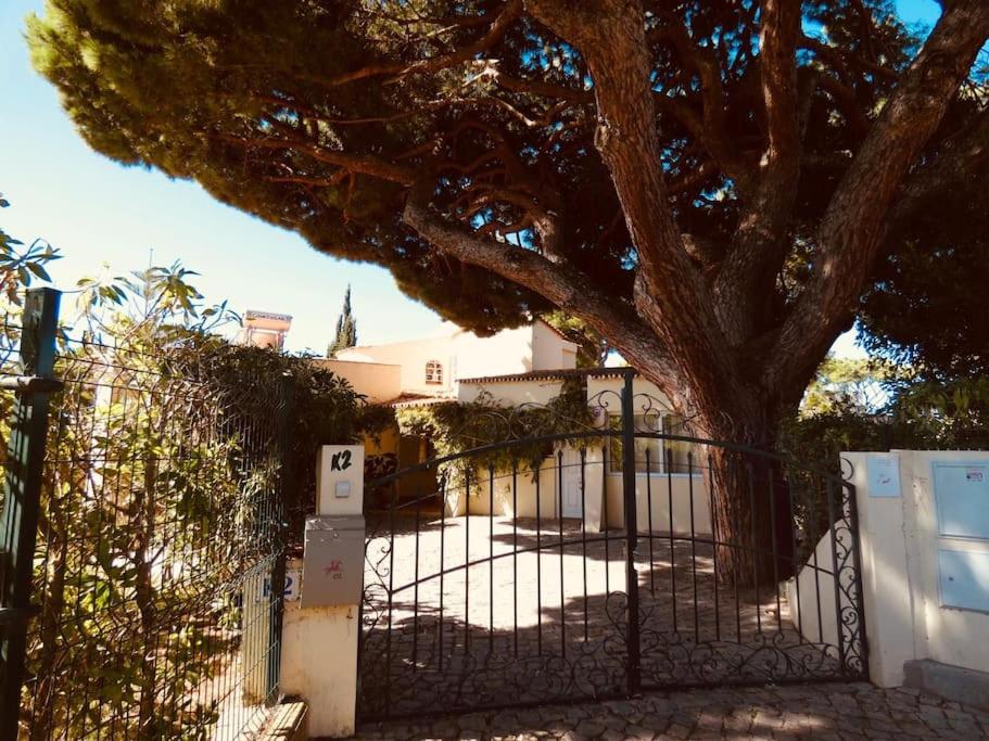 Villa Amarela view 5
