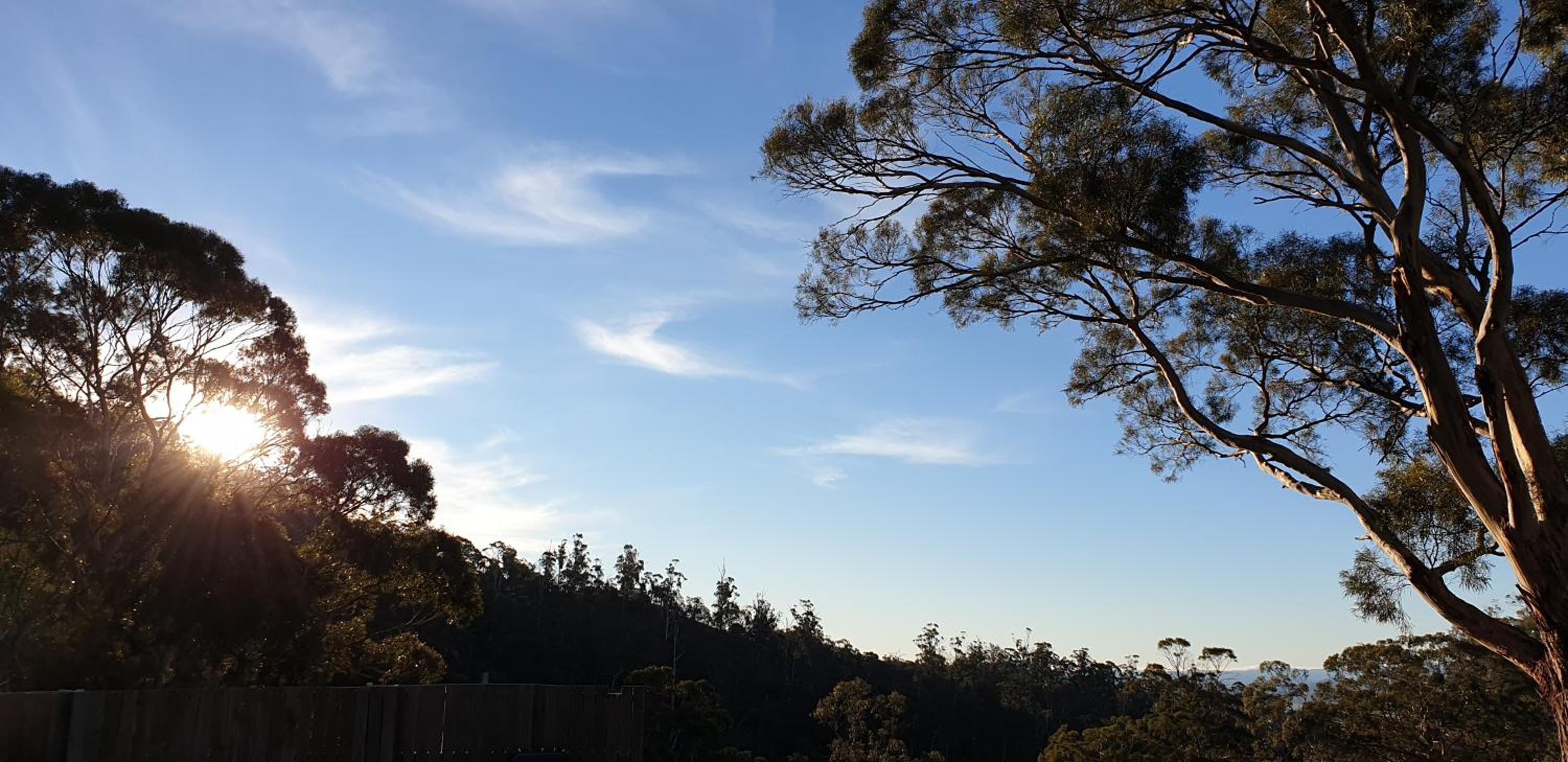 Mount Rumney Escapes - Platypus Cabin