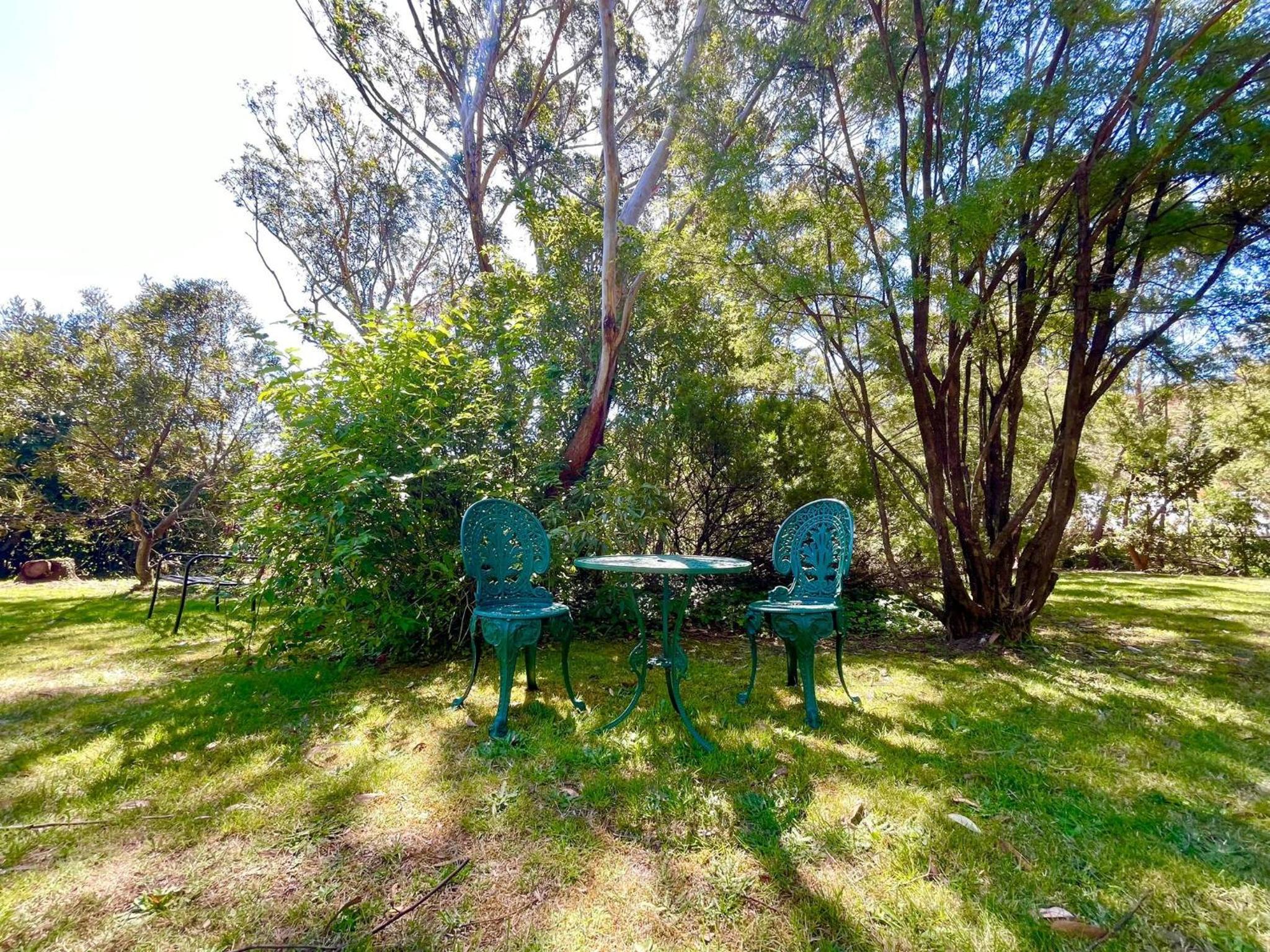 Sublime Cedar Lodge Leura