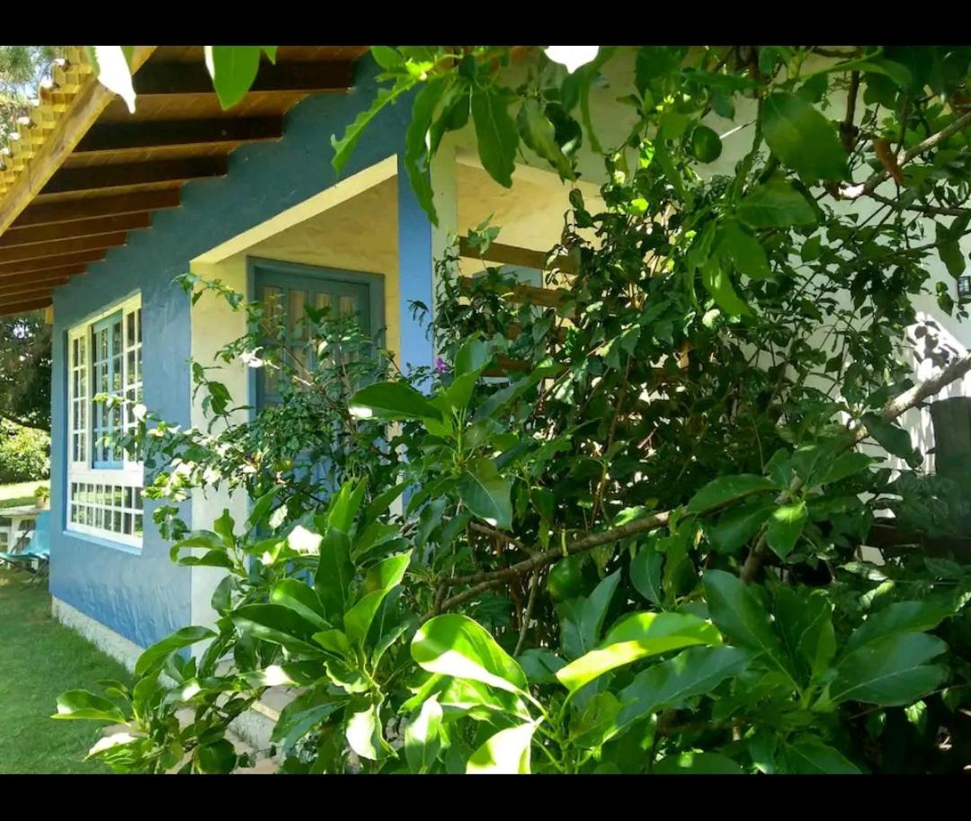 Quinta do Moçambique
