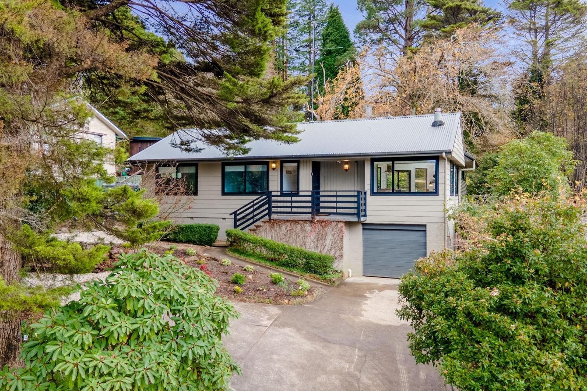 Leura Pines