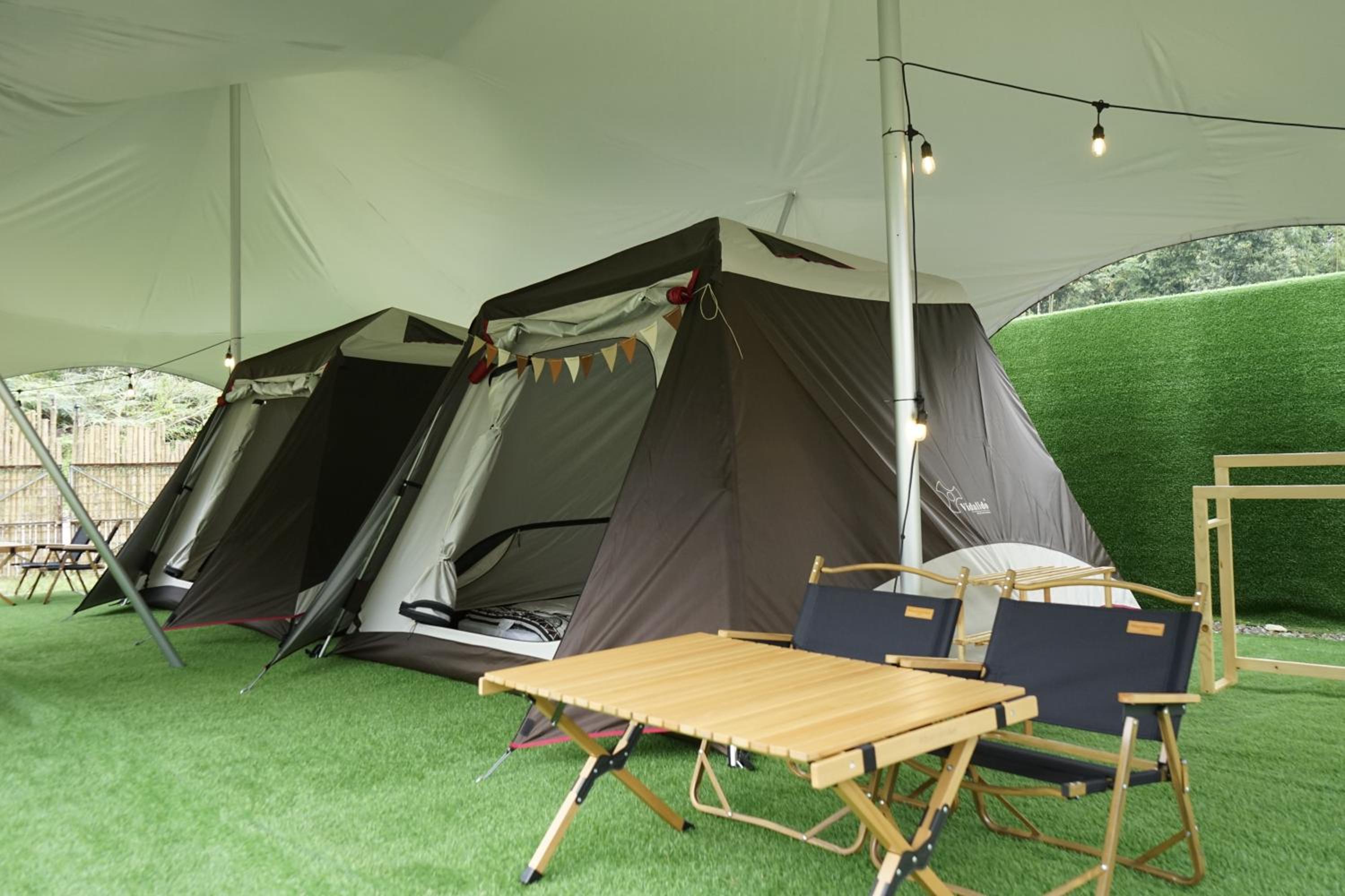 iGo Glamz 爱狗露营 Pet Friendly Glamping photo 2