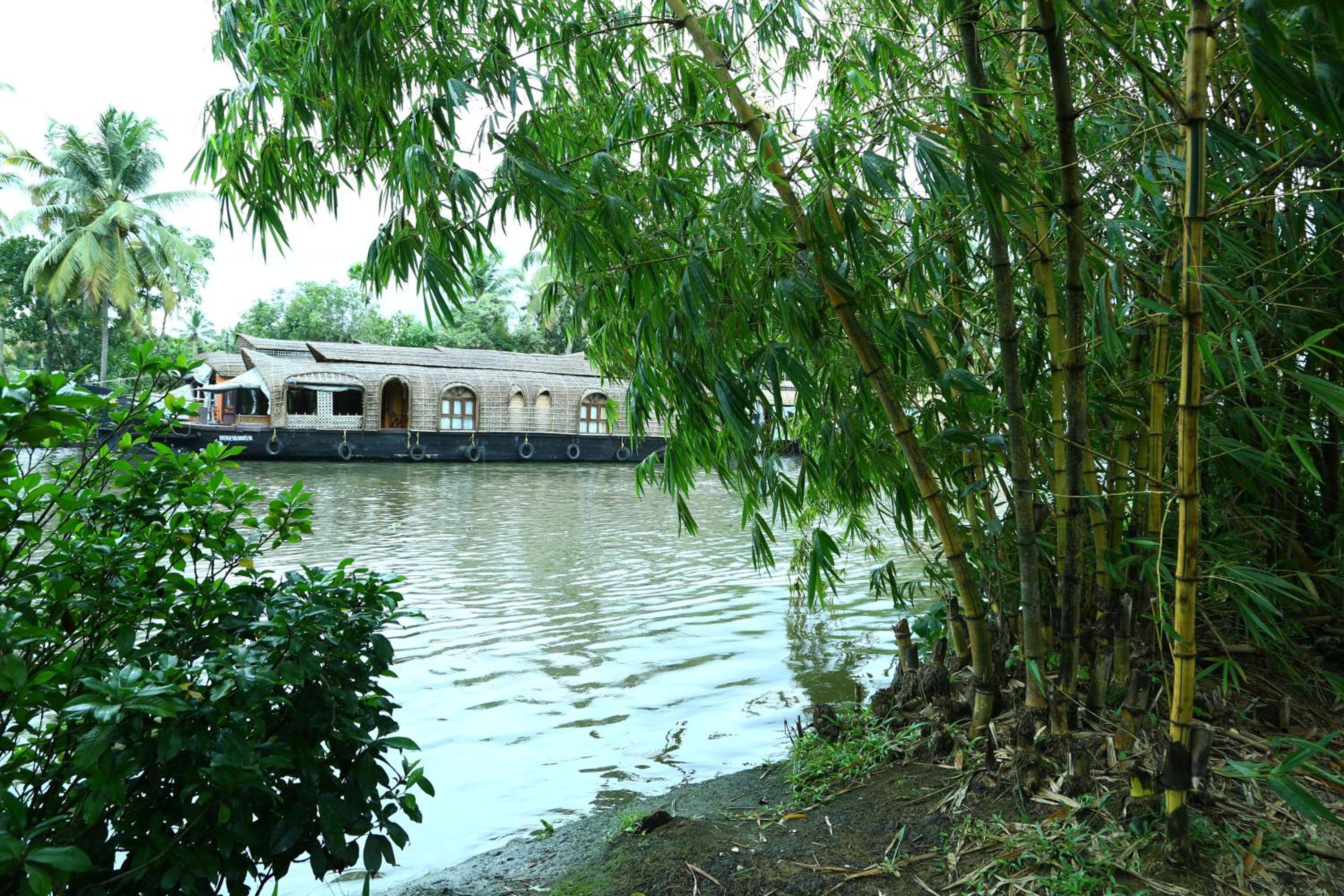 Alapatt Homestay view 5