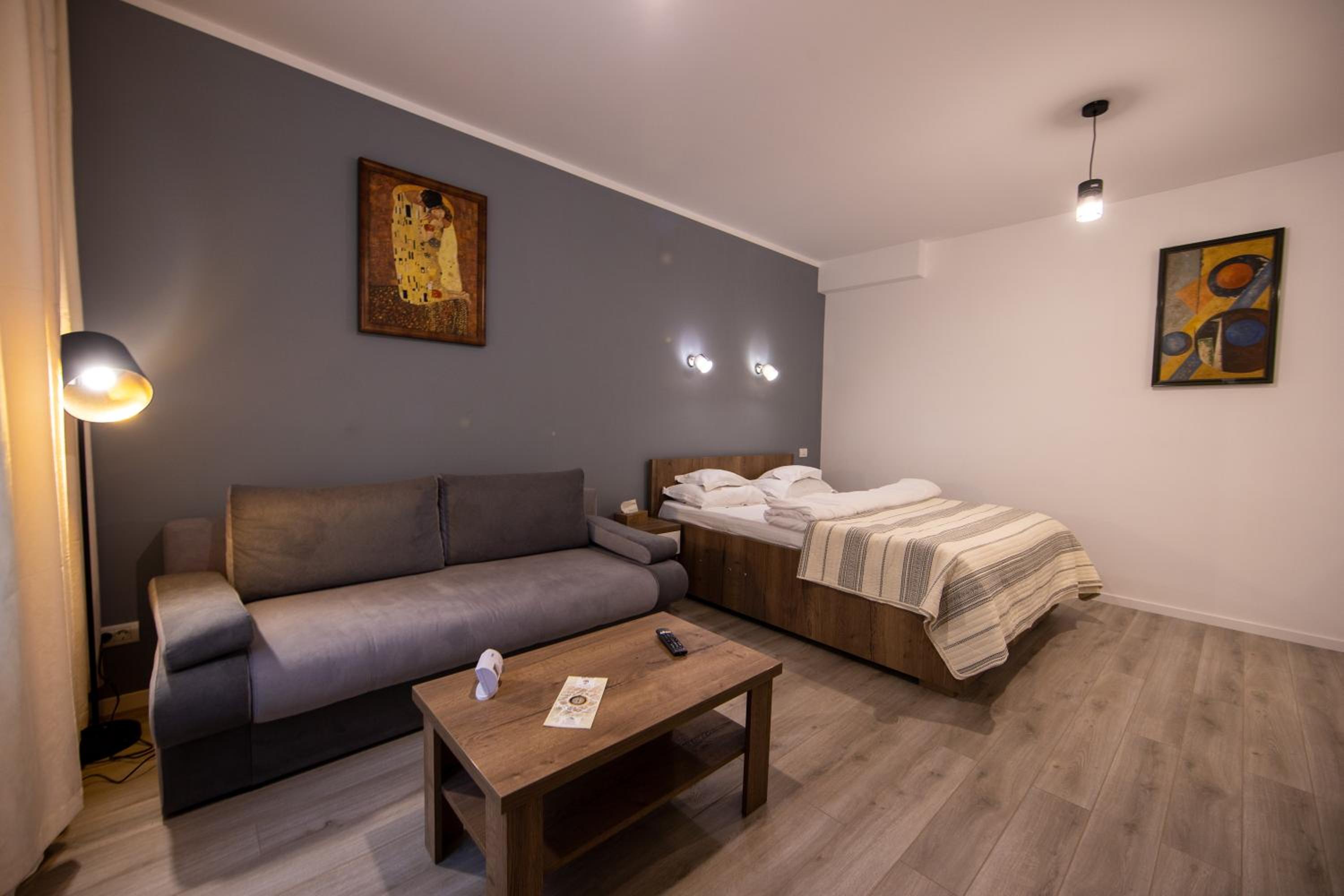 Central Place Apartment Timisoara 2 view 3