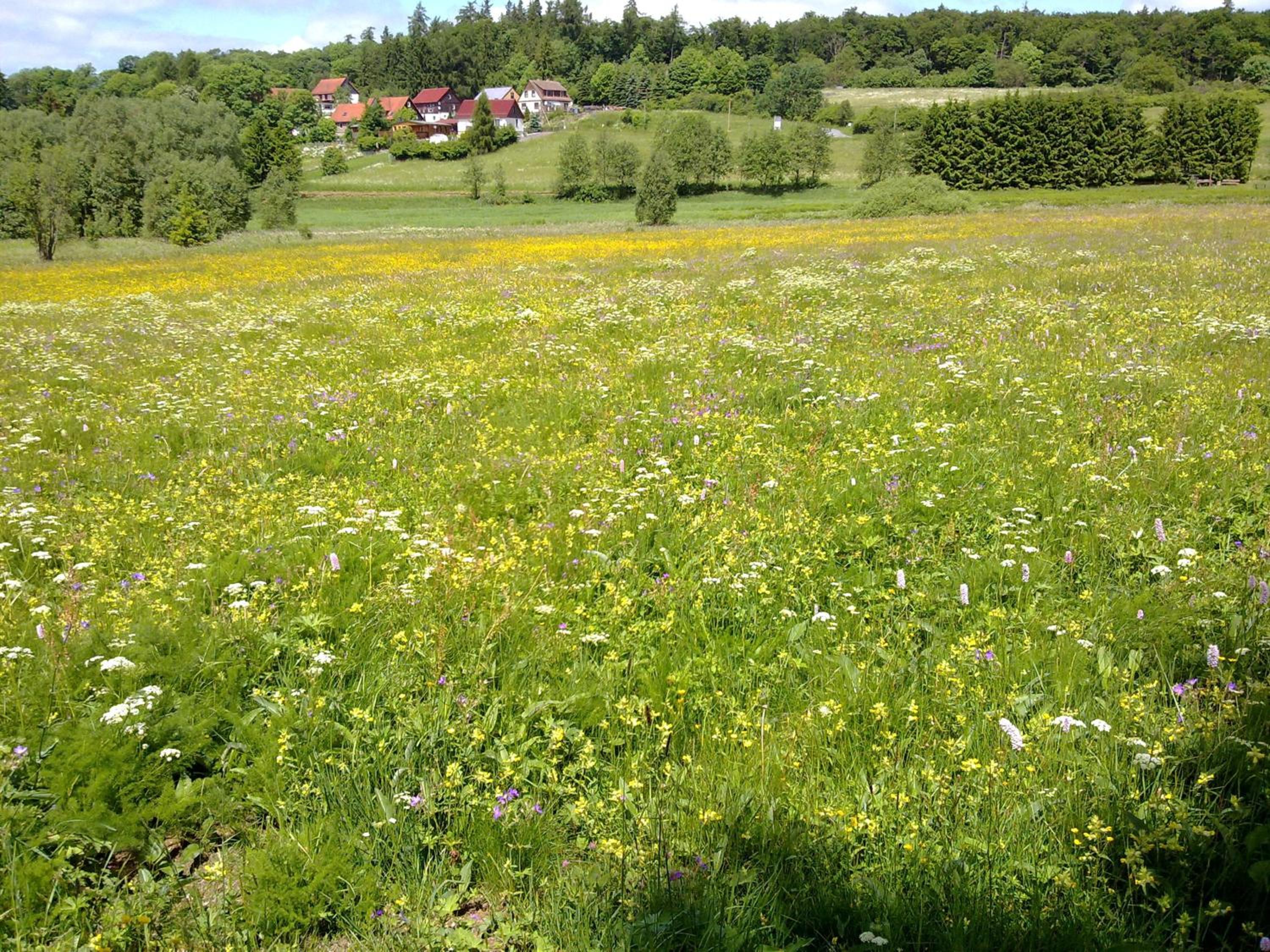 Ferienwohnung Kopp