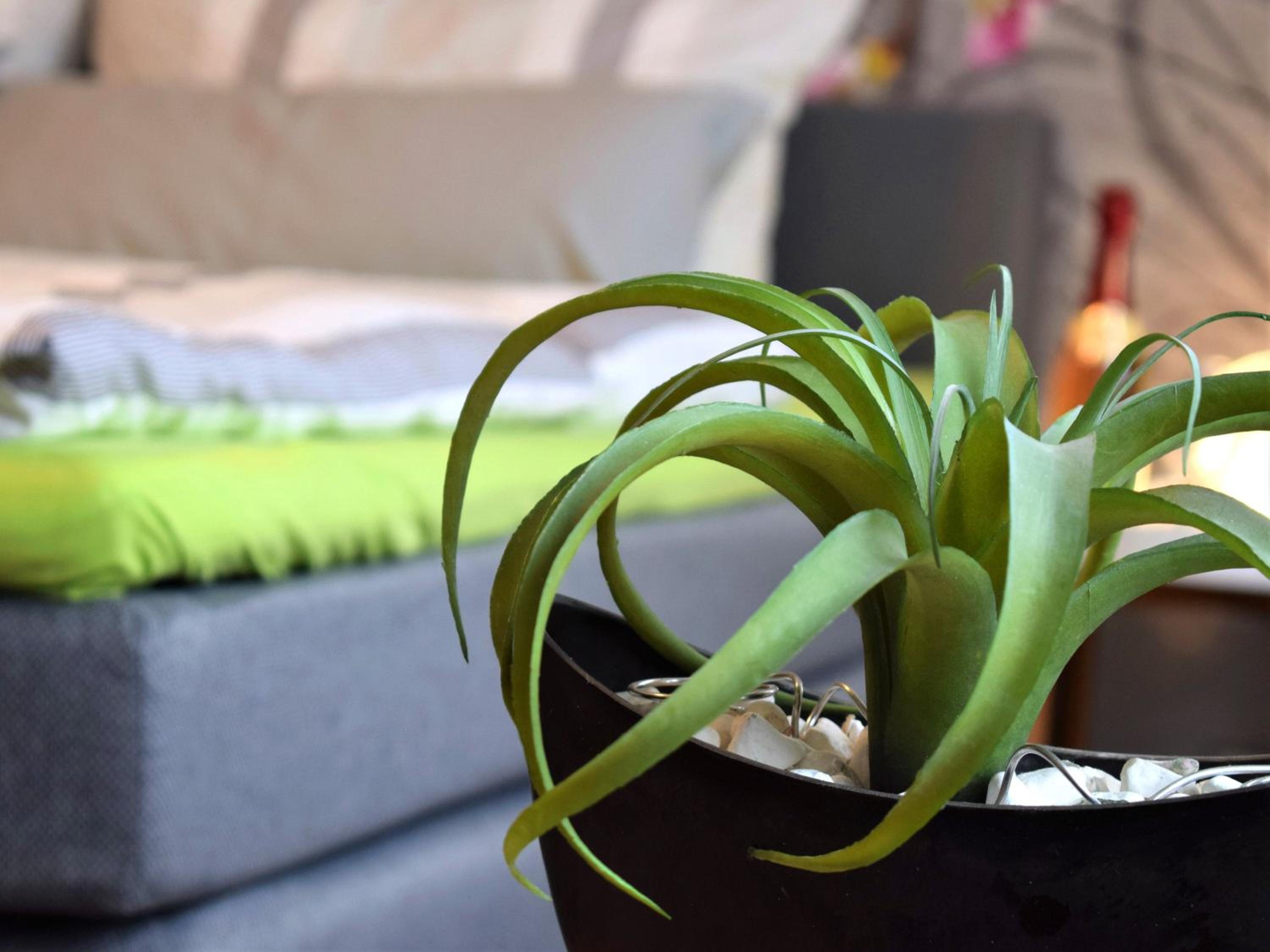 Ferienwohnung Kopp